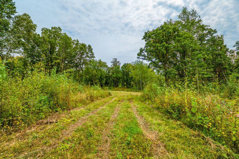 land for sale at 12479 Battle Road NE in Blackduck, MN (photo 19 of 23)