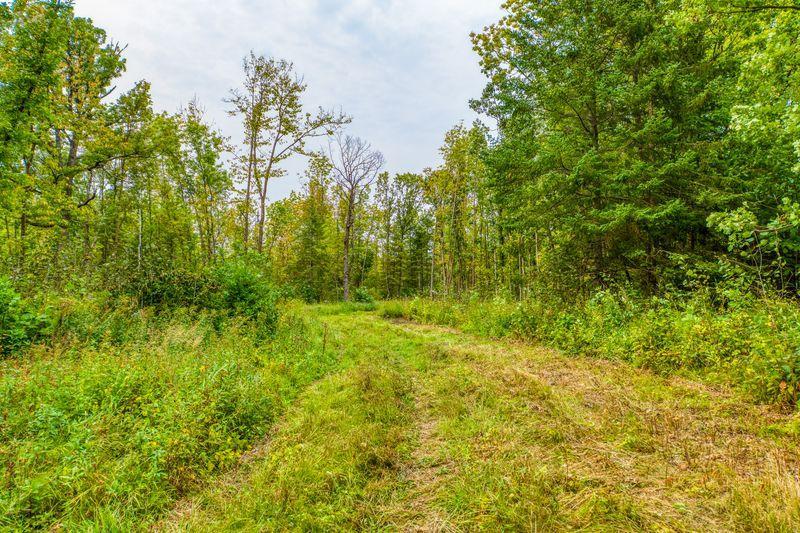 land for sale at 12479 Battle Road NE in Blackduck, MN (photo 20 of 23)
