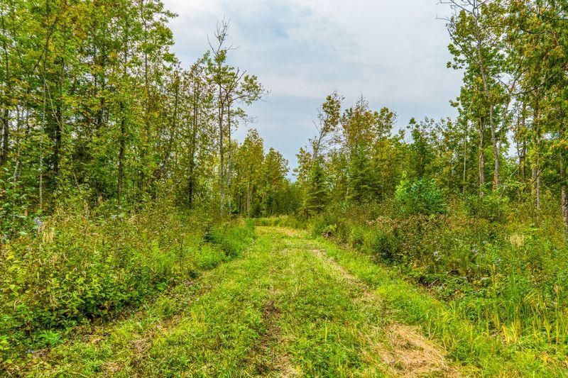 land for sale at 12479 Battle Road NE in Blackduck, MN (photo 21 of 23)