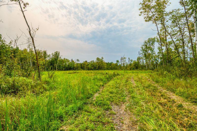 land for sale at 12479 Battle Road NE in Blackduck, MN (photo 22 of 23)