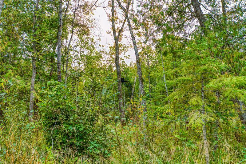 land for sale at 12479 Battle Road NE in Blackduck, MN (photo 23 of 23)