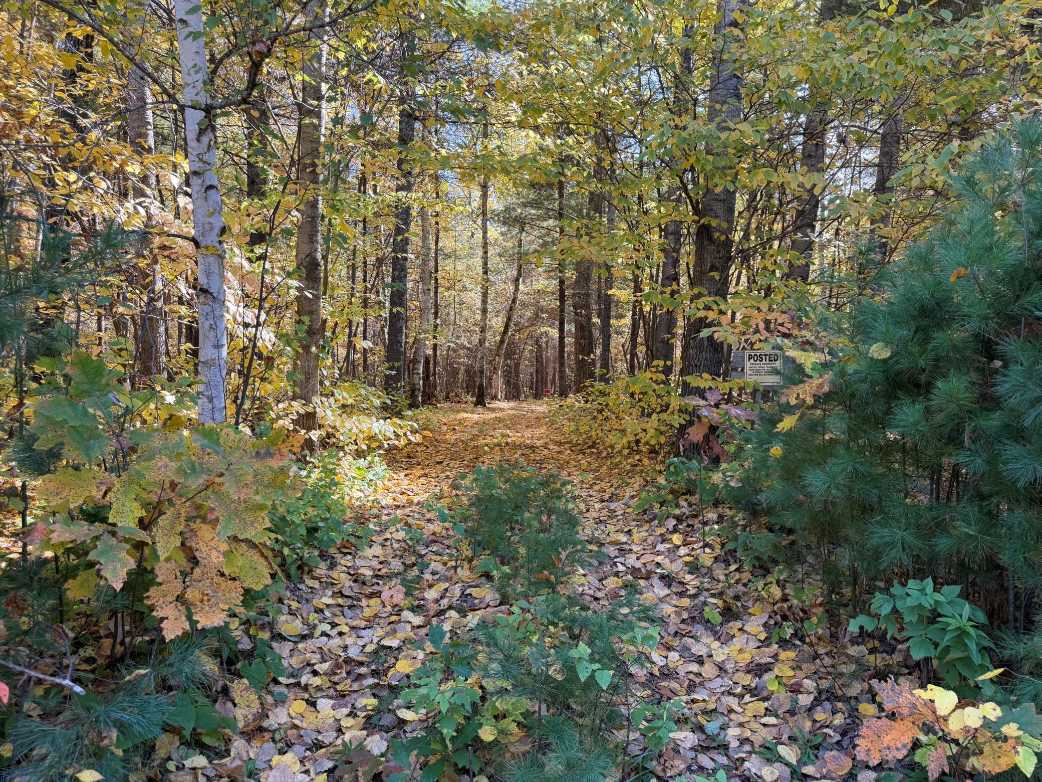 land for sale at XXXX County Road 19 in Merrifield, MN