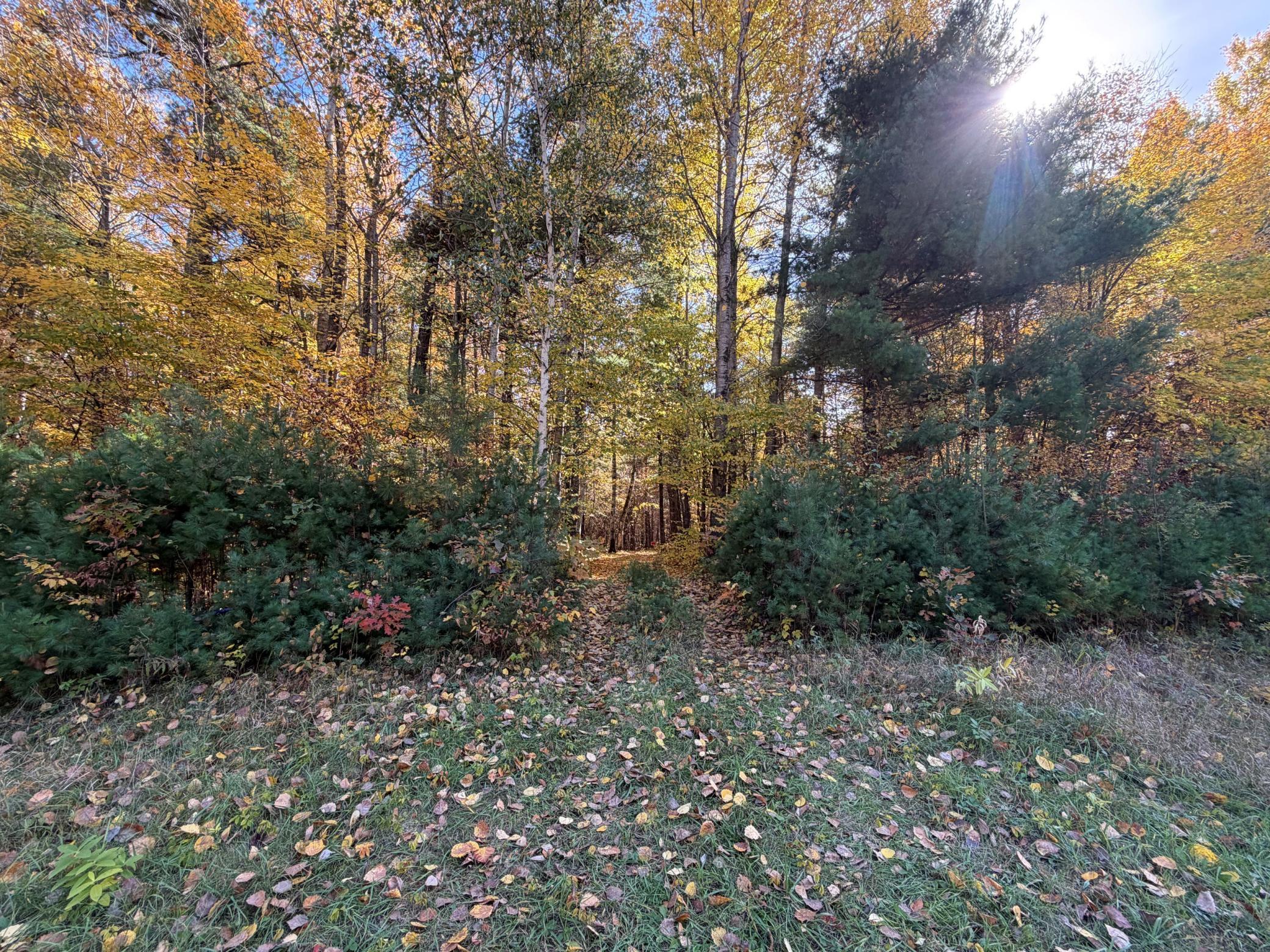 land for sale at XXXX County Road 19 in Merrifield, MN (photo 11 of 17)