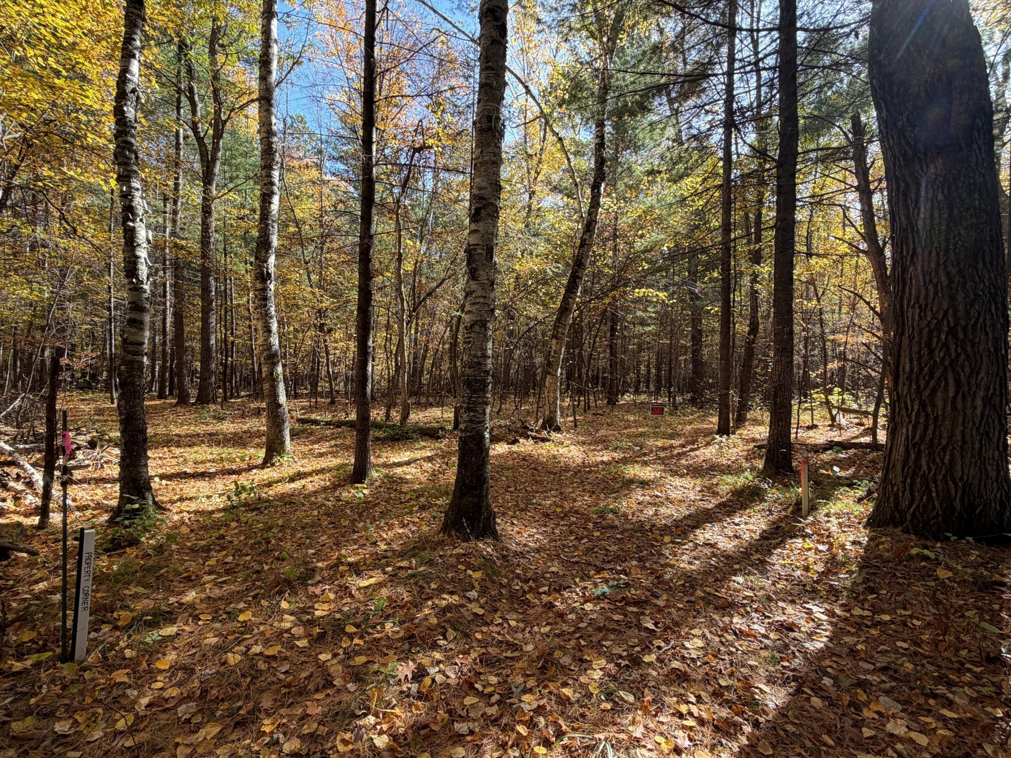 land for sale at XXXX County Road 19 in Merrifield, MN (photo 12 of 17)