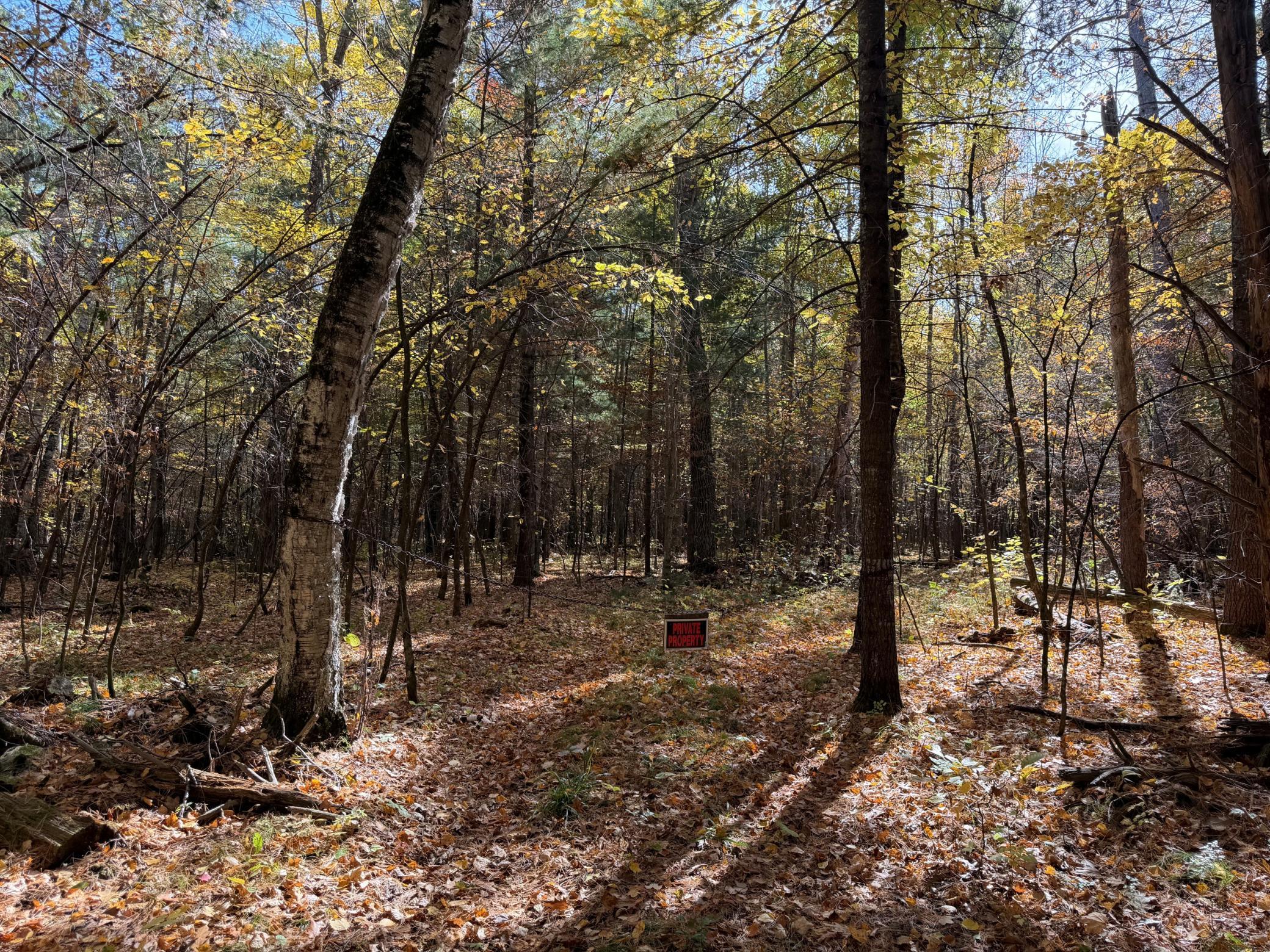 land for sale at XXXX County Road 19 in Merrifield, MN (photo 14 of 17)