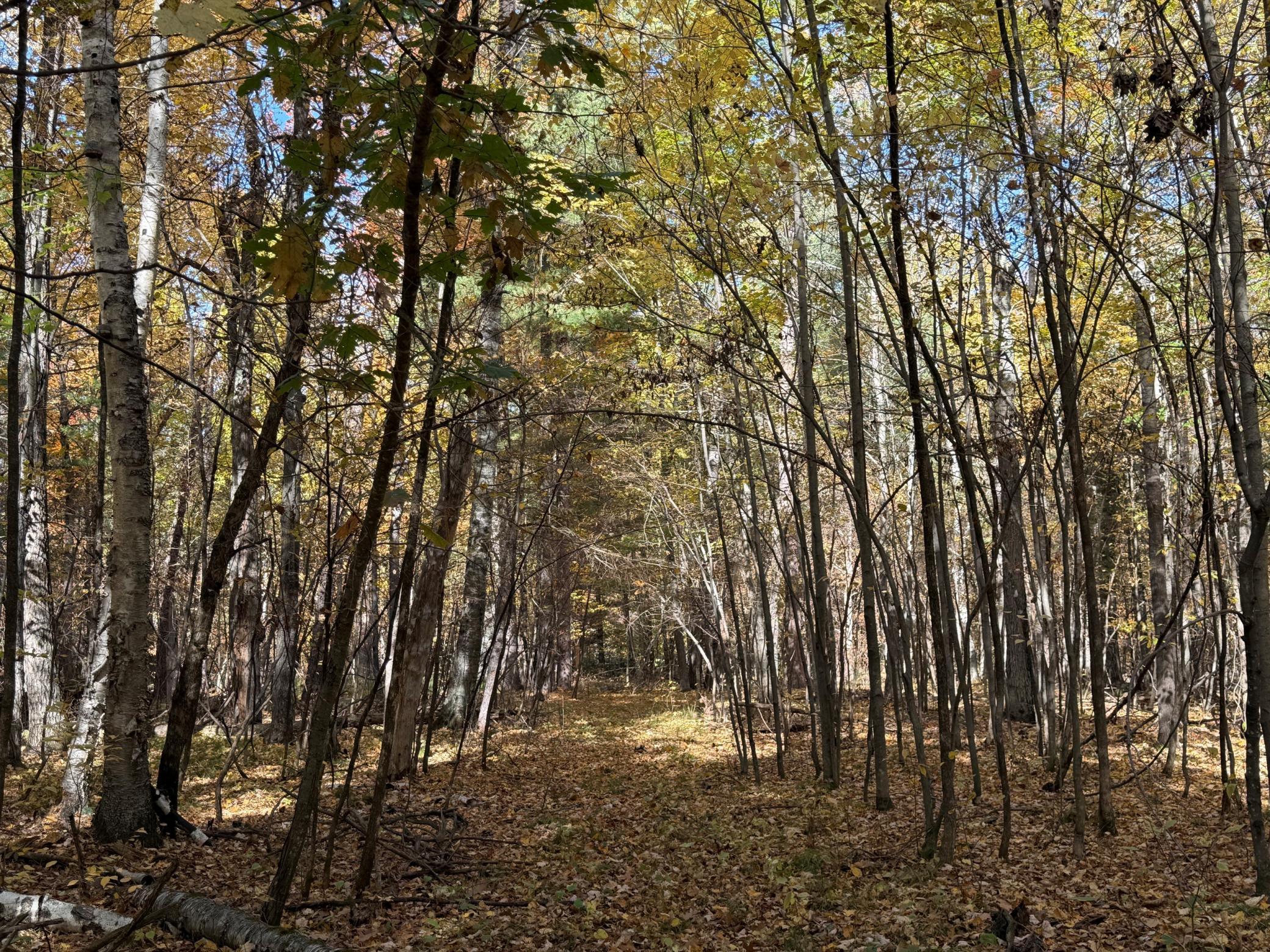 land for sale at XXXX County Road 19 in Merrifield, MN (photo 15 of 17)