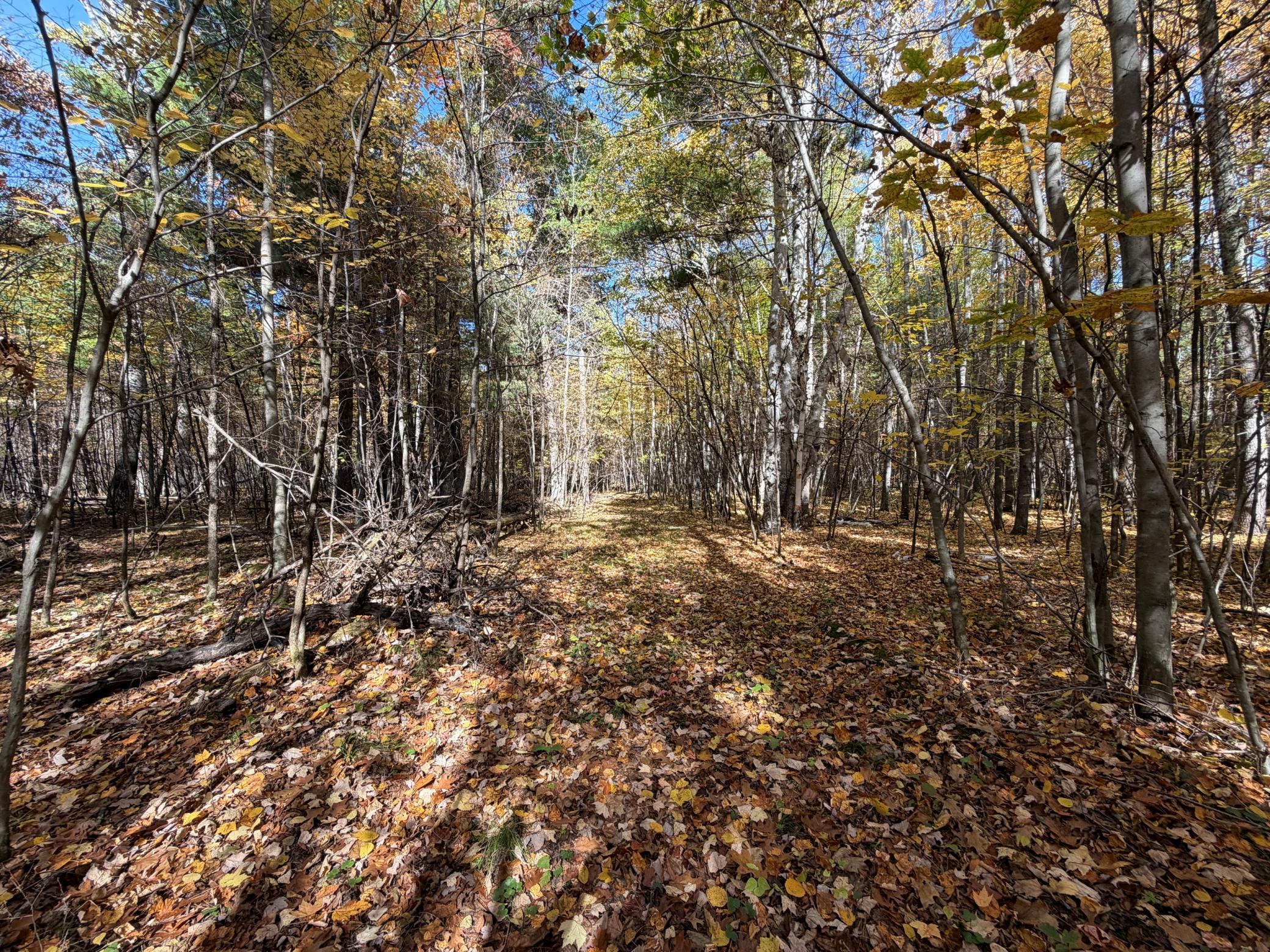 land for sale at XXXX County Road 19 in Merrifield, MN (photo 16 of 17)