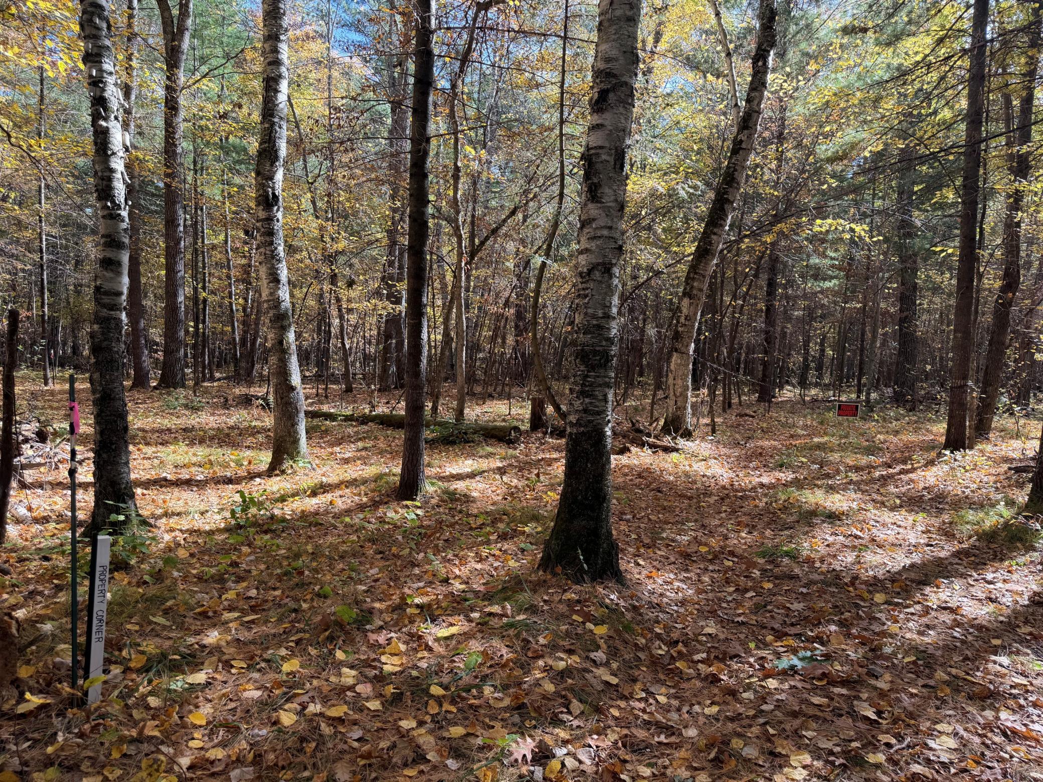 land for sale at XXXX County Road 19 in Merrifield, MN (photo 17 of 17)