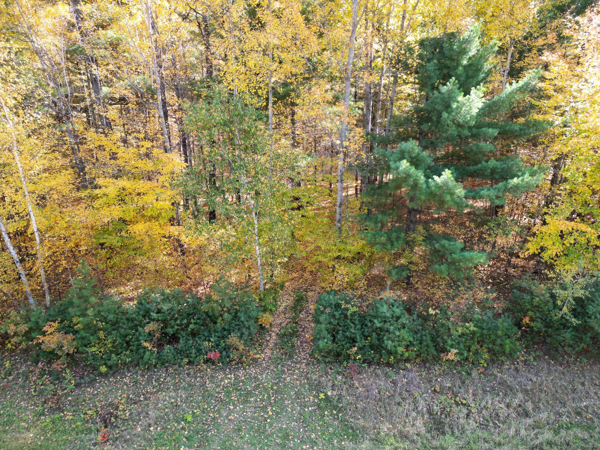 land for sale at XXXX County Road 19 in Merrifield, MN (photo 4 of 17)