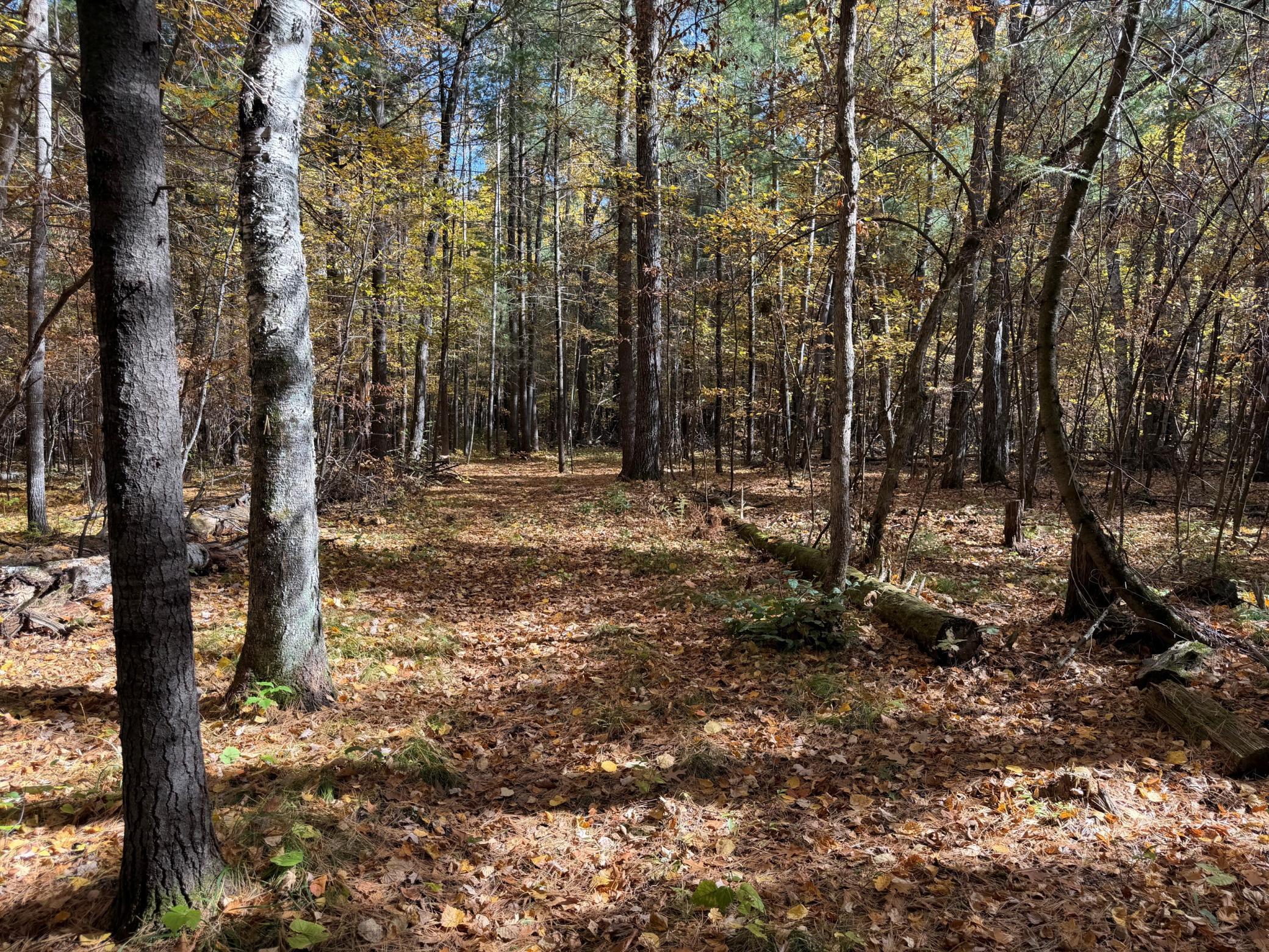 land for sale at XXXX County Road 19 in Merrifield, MN (photo 6 of 17)
