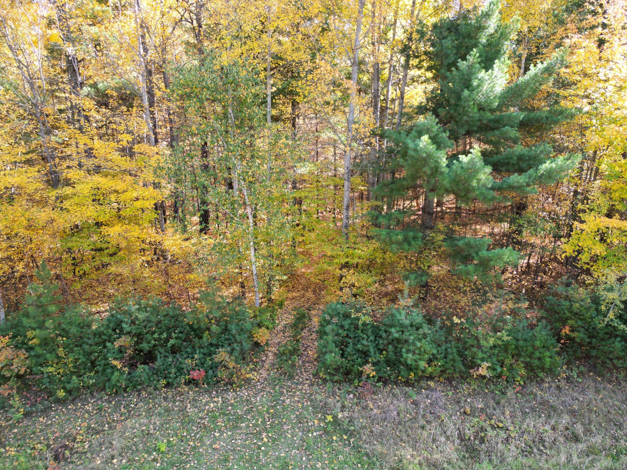 land for sale at XXXX County Road 19 in Merrifield, MN (photo 9 of 17)