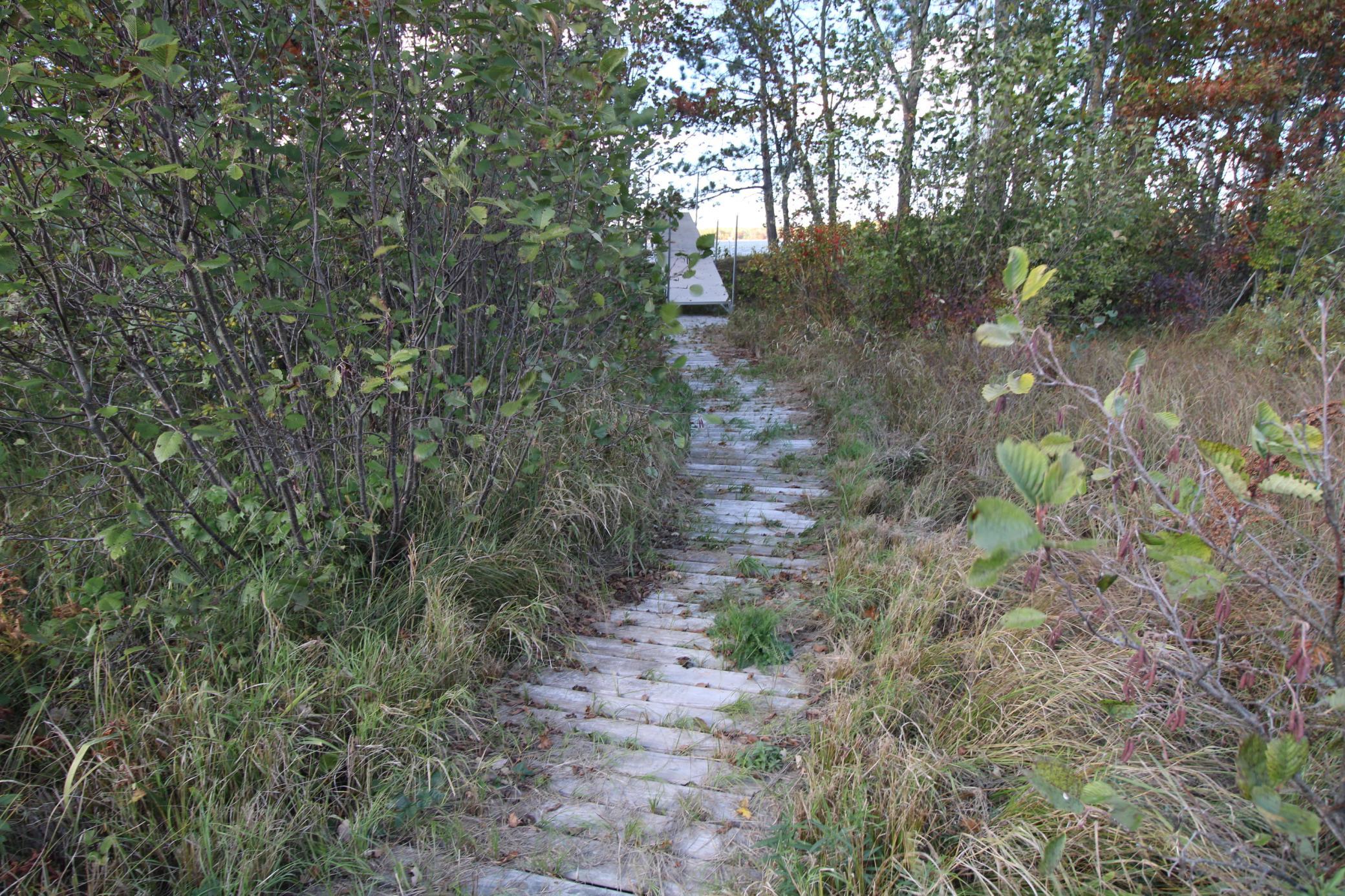 land for sale at TBD Cory Road in Crosby, MN (photo 9 of 11)