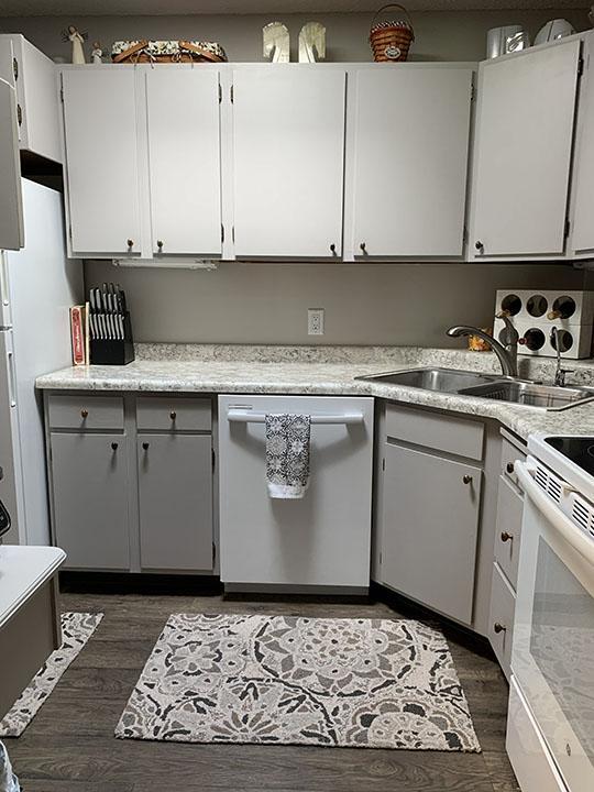 1984 condo for sale at 1415 Lake Street, Unit 142 in Alexandria, MN — 1 bed, 1 bath (photo 7 of 26)