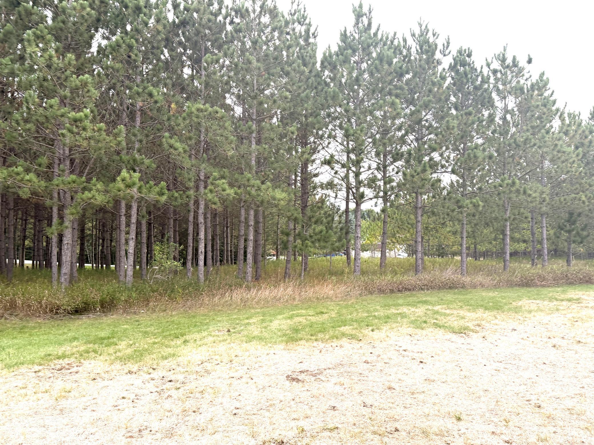 2006 single family home for sale at 386 Lake Avenue NE in Clearbrook, MN — 2 bed, 2 bath (photo 55 of 56)