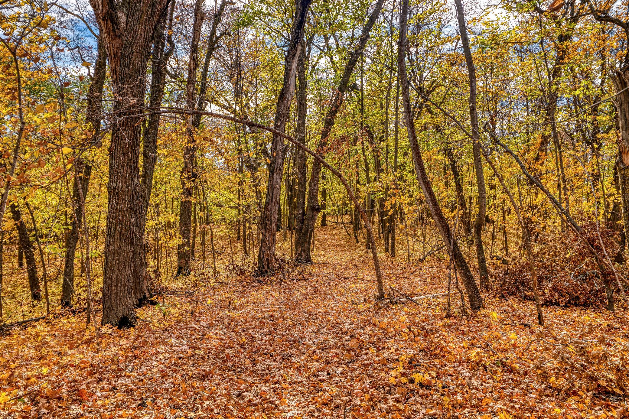 land for sale at TBD 390th Avenue SE in Fosston, MN (photo 8 of 28)
