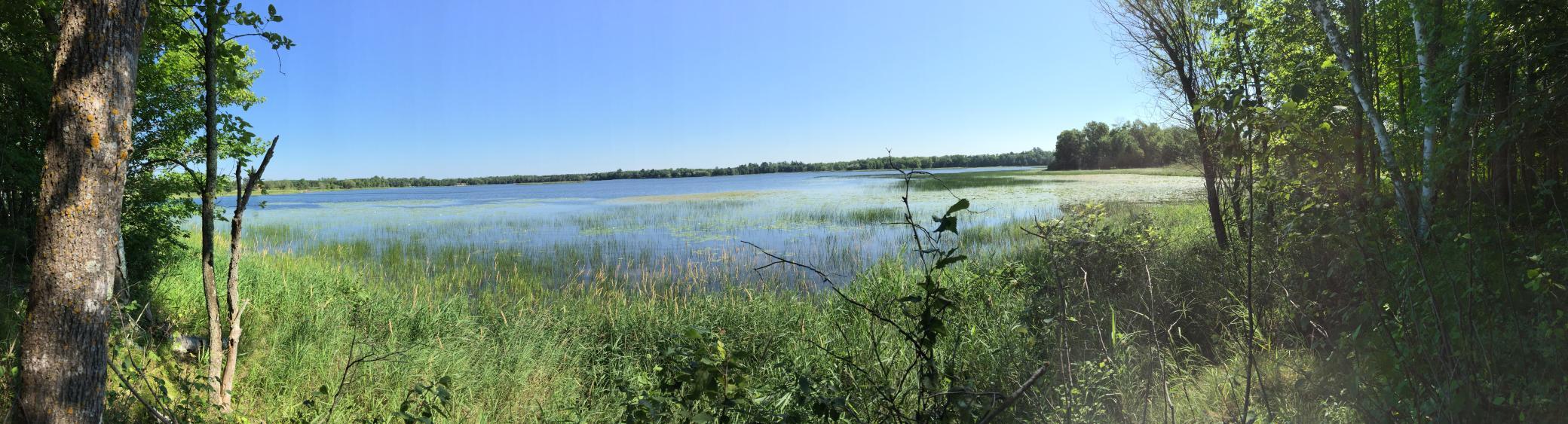 land for sale at Tract 1 Lower Larson Lake Road NW in Hackensack, MN