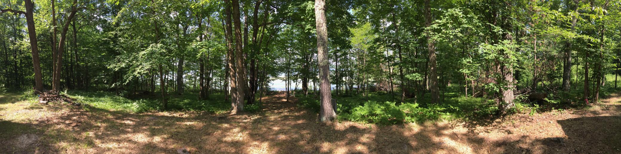 land for sale at Tract 1 Lower Larson Lake Road NW in Hackensack, MN (photo 2 of 25)
