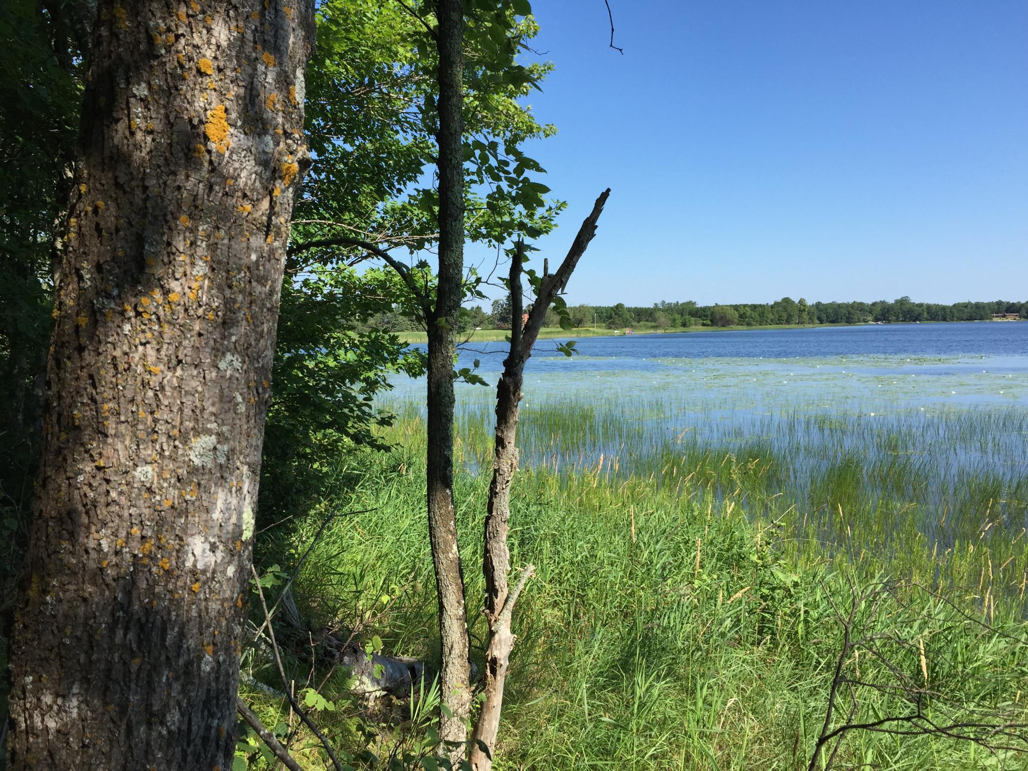 land for sale at Tract 1 Lower Larson Lake Road NW in Hackensack, MN (photo 11 of 25)