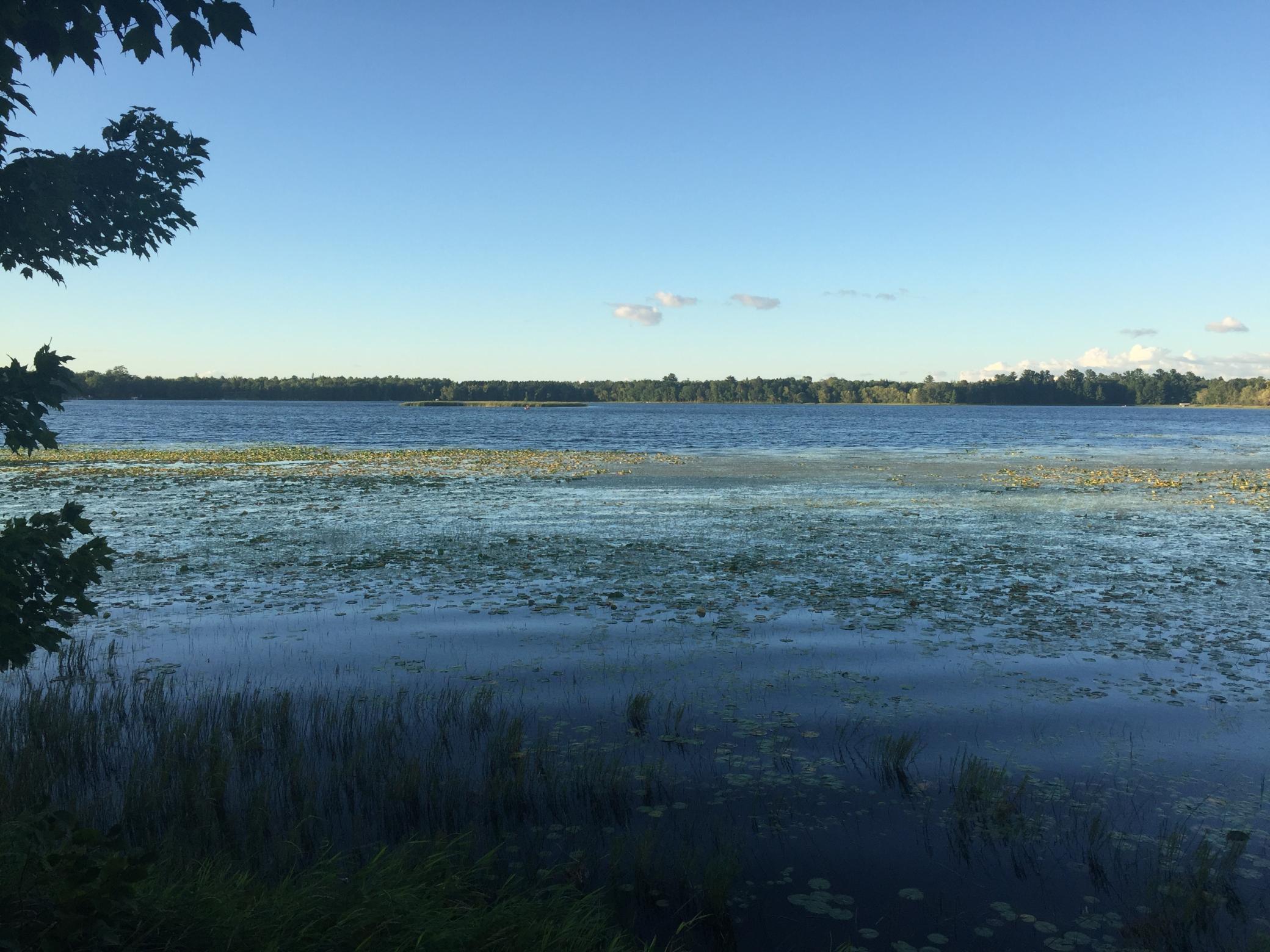 land for sale at Tract 1 Lower Larson Lake Road NW in Hackensack, MN (photo 12 of 25)