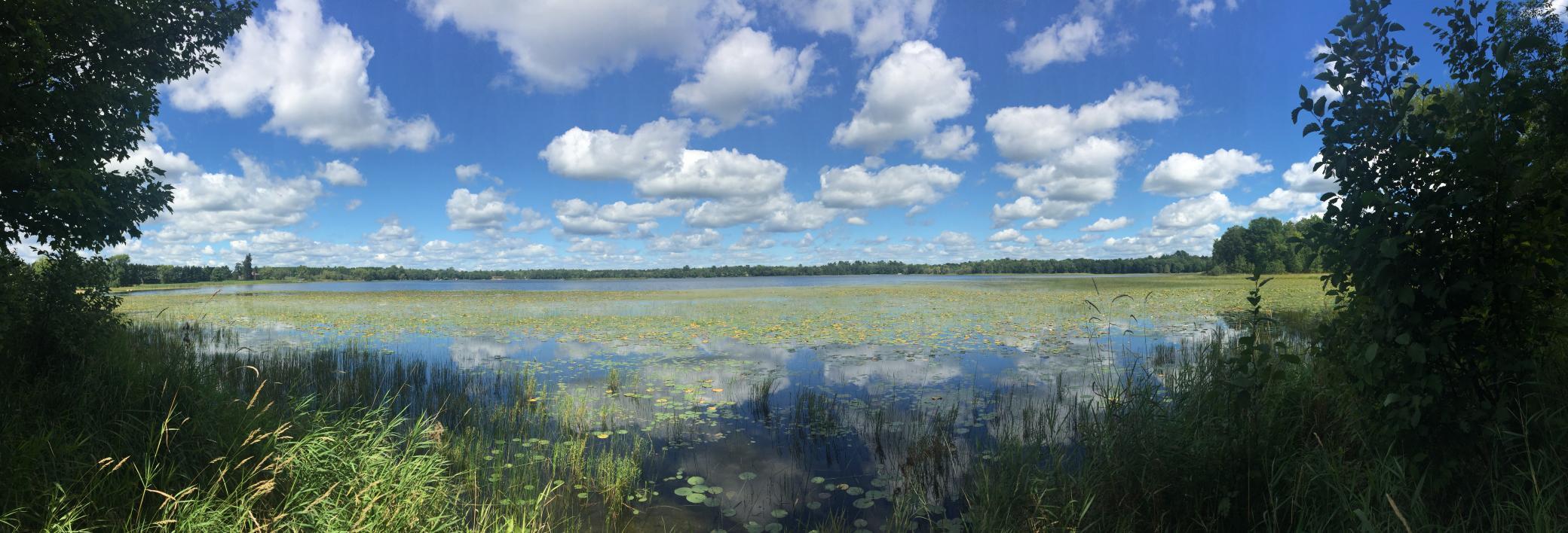 land for sale at Tract 1 Lower Larson Lake Road NW in Hackensack, MN (photo 13 of 25)