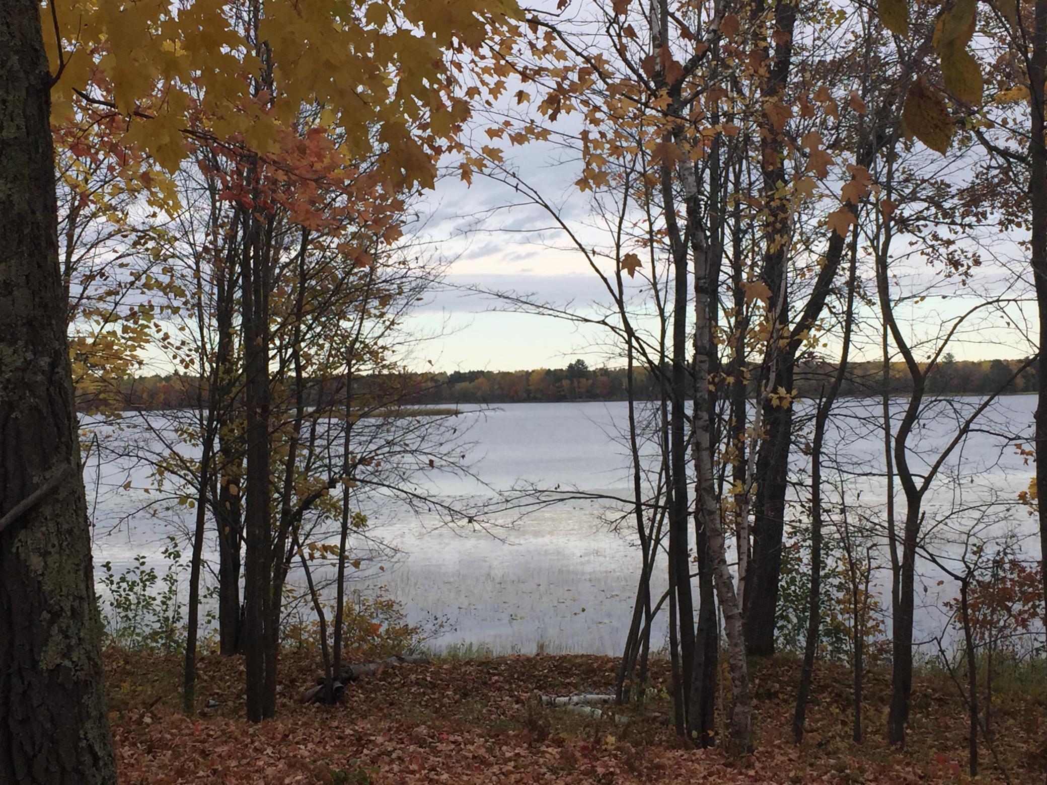 land for sale at Tract 1 Lower Larson Lake Road NW in Hackensack, MN (photo 14 of 25)