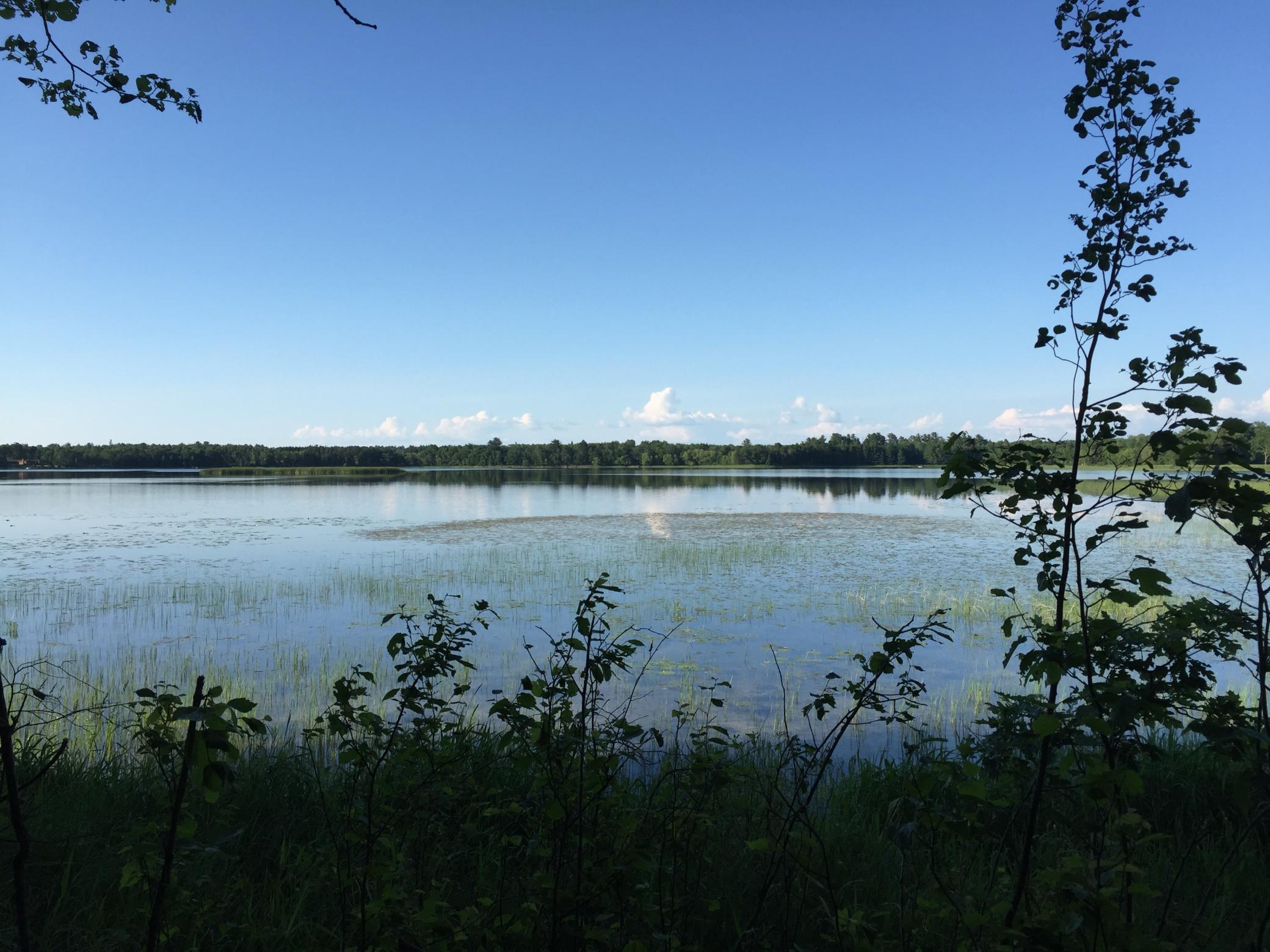 land for sale at Tract 1 Lower Larson Lake Road NW in Hackensack, MN (photo 16 of 25)
