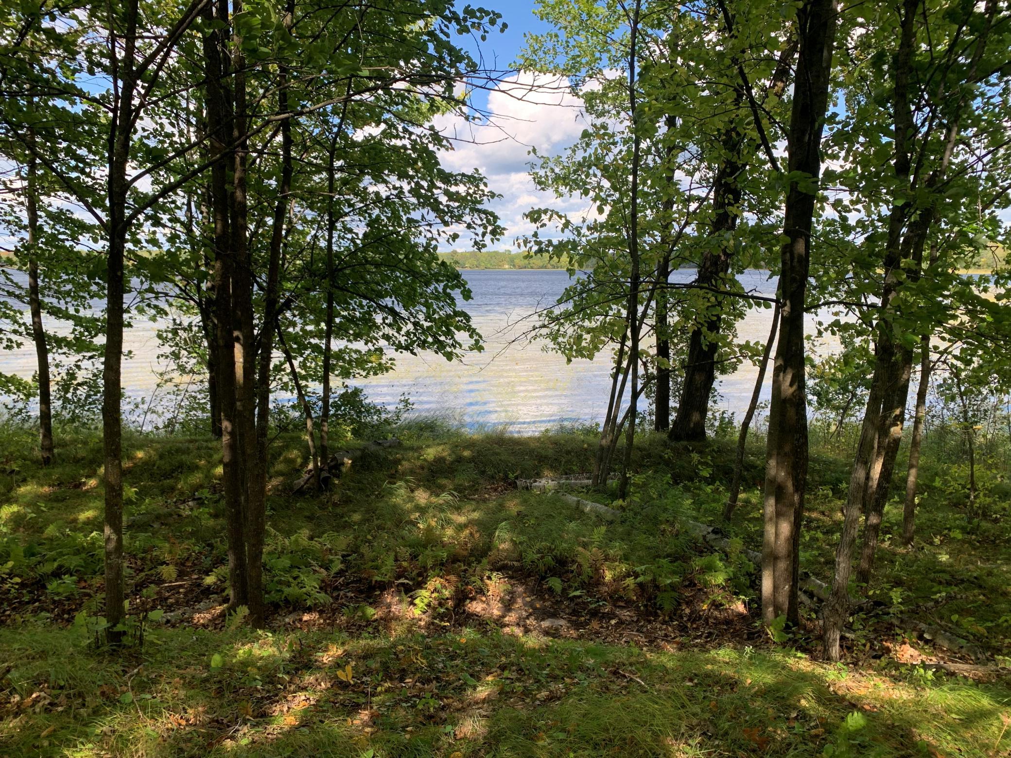 land for sale at Tract 1 Lower Larson Lake Road NW in Hackensack, MN (photo 18 of 25)
