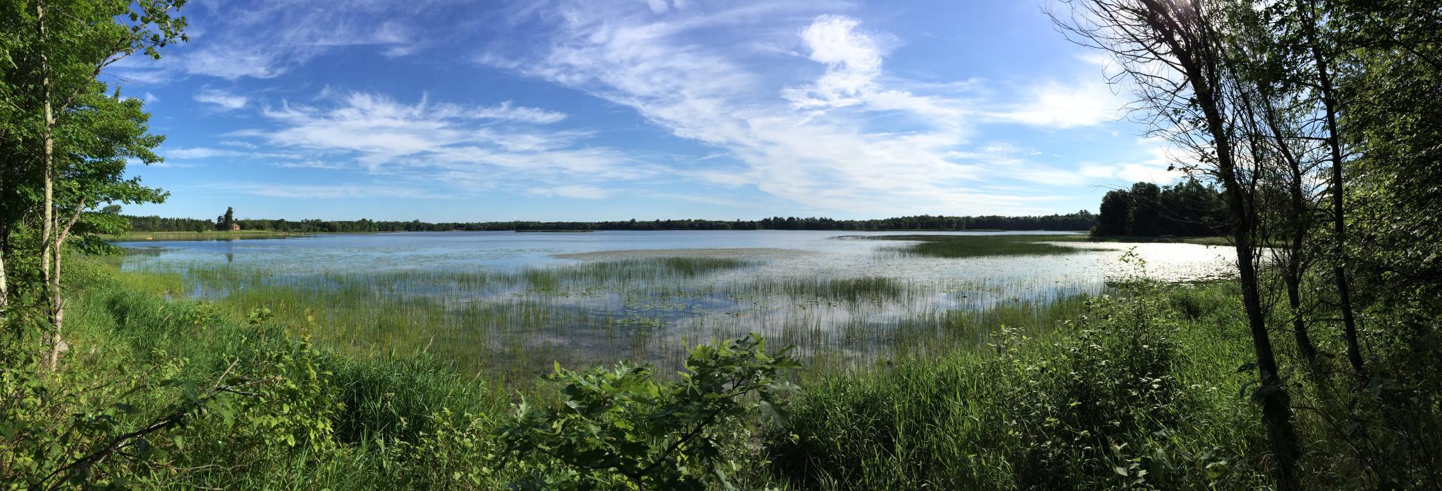 land for sale at Tract 1 Lower Larson Lake Road NW in Hackensack, MN (photo 19 of 25)
