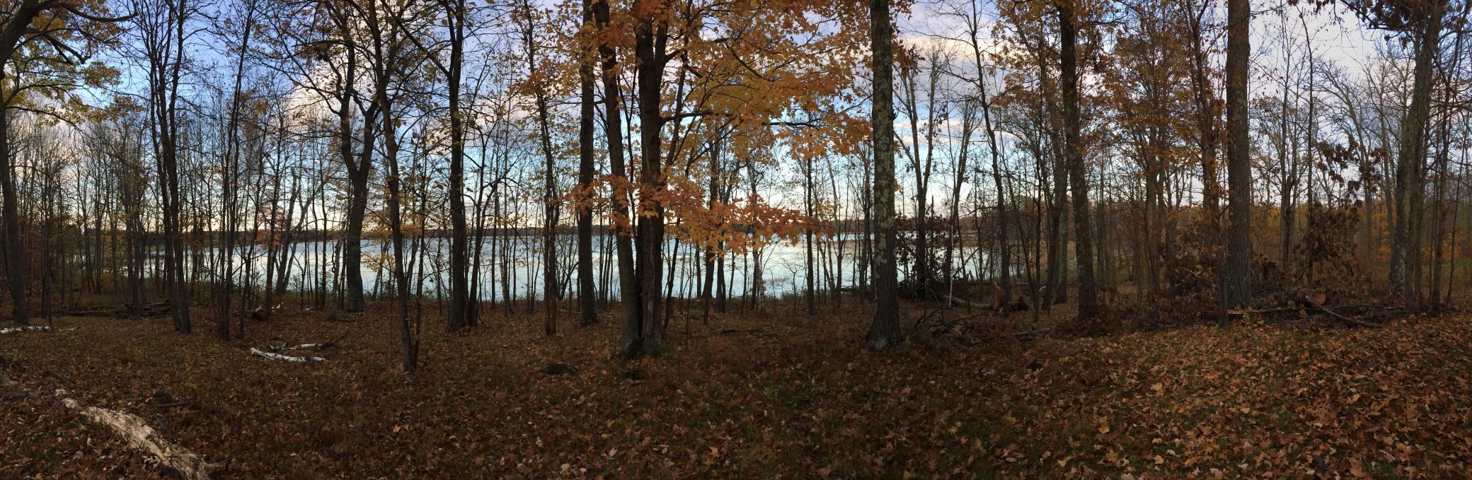 land for sale at Tract 1 Lower Larson Lake Road NW in Hackensack, MN (photo 3 of 25)
