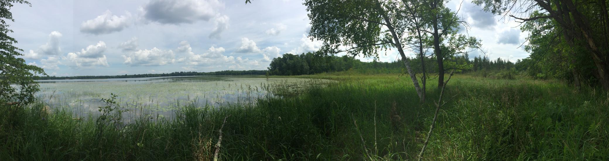 land for sale at Tract 1 Lower Larson Lake Road NW in Hackensack, MN (photo 21 of 25)