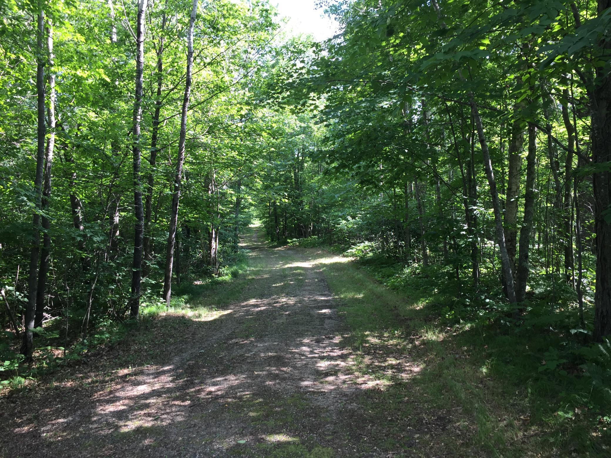 land for sale at Tract 1 Lower Larson Lake Road NW in Hackensack, MN (photo 22 of 25)