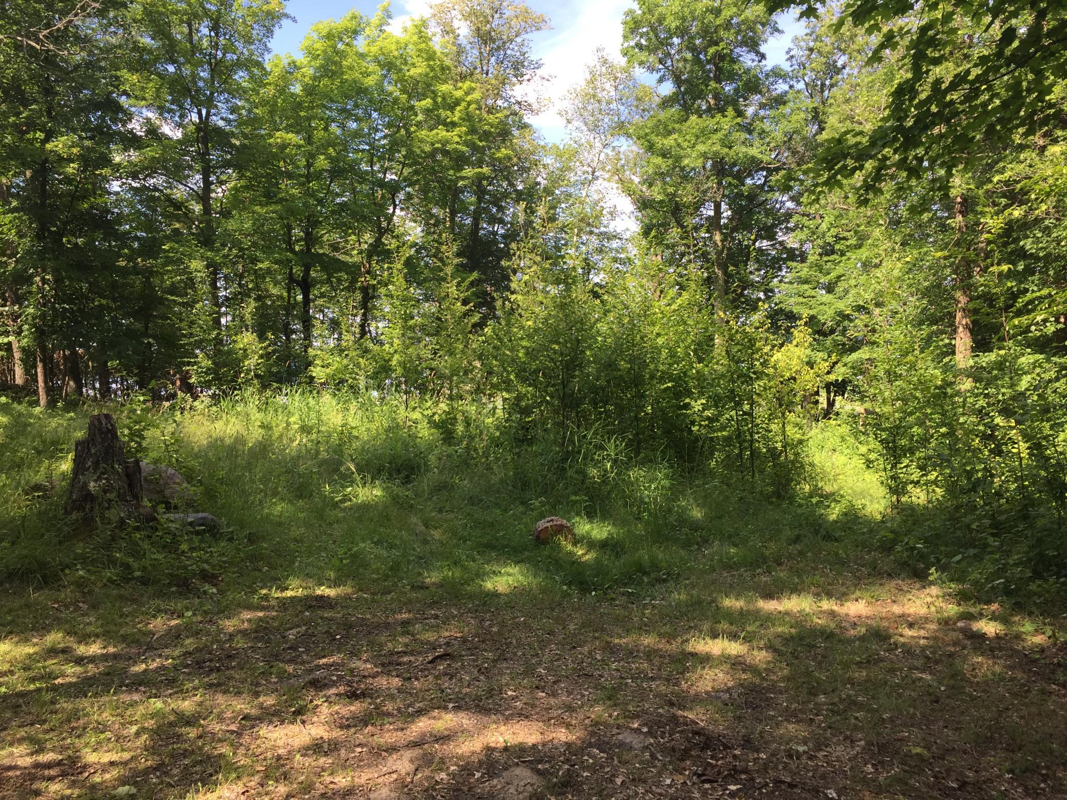land for sale at Tract 1 Lower Larson Lake Road NW in Hackensack, MN (photo 23 of 25)