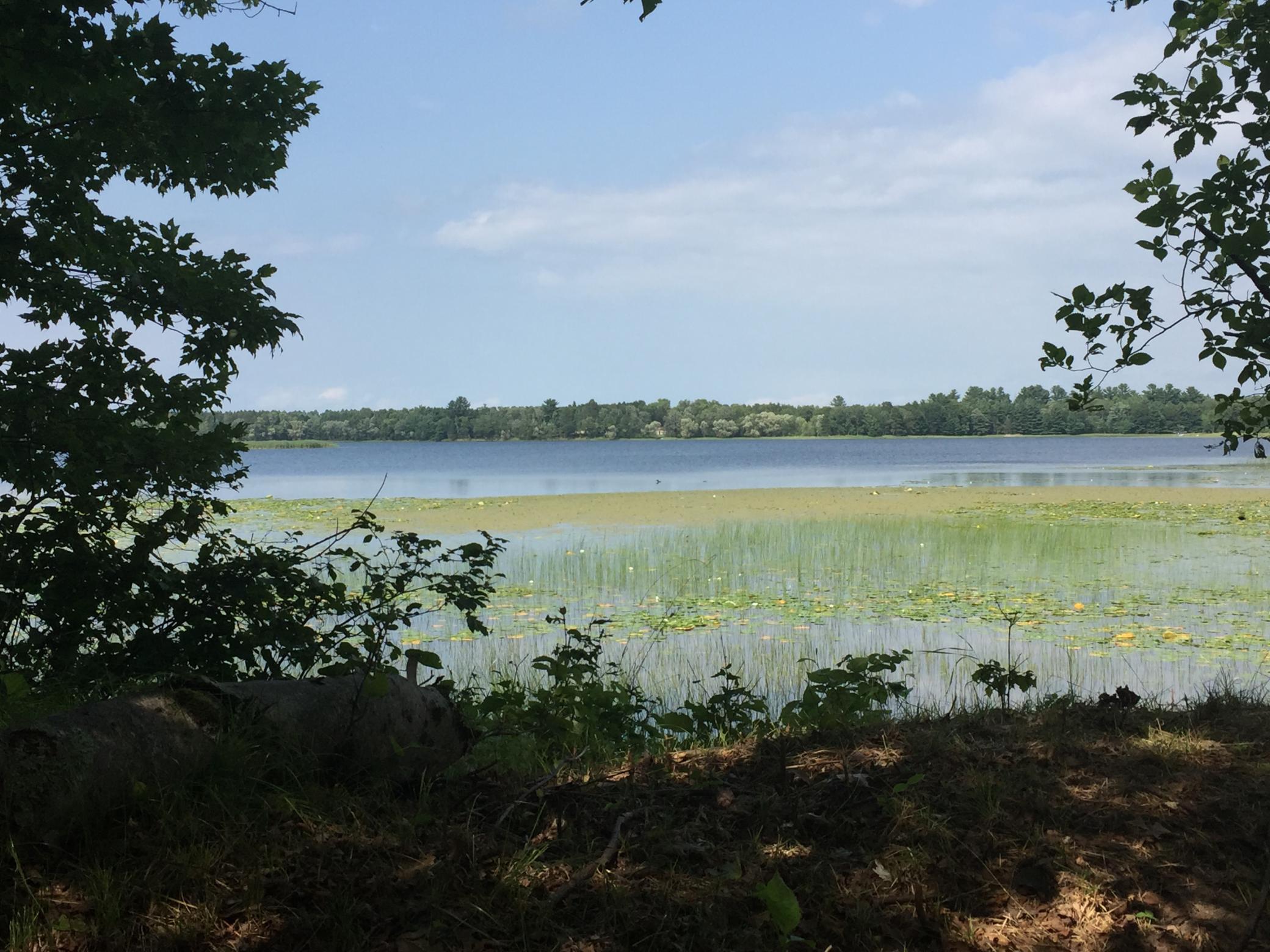land for sale at Tract 1 Lower Larson Lake Road NW in Hackensack, MN (photo 24 of 25)