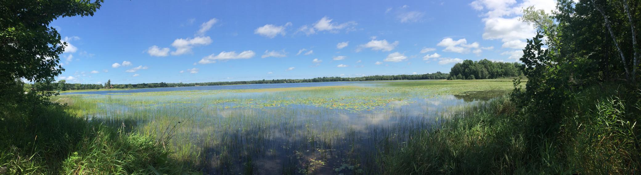 land for sale at Tract 1 Lower Larson Lake Road NW in Hackensack, MN (photo 25 of 25)