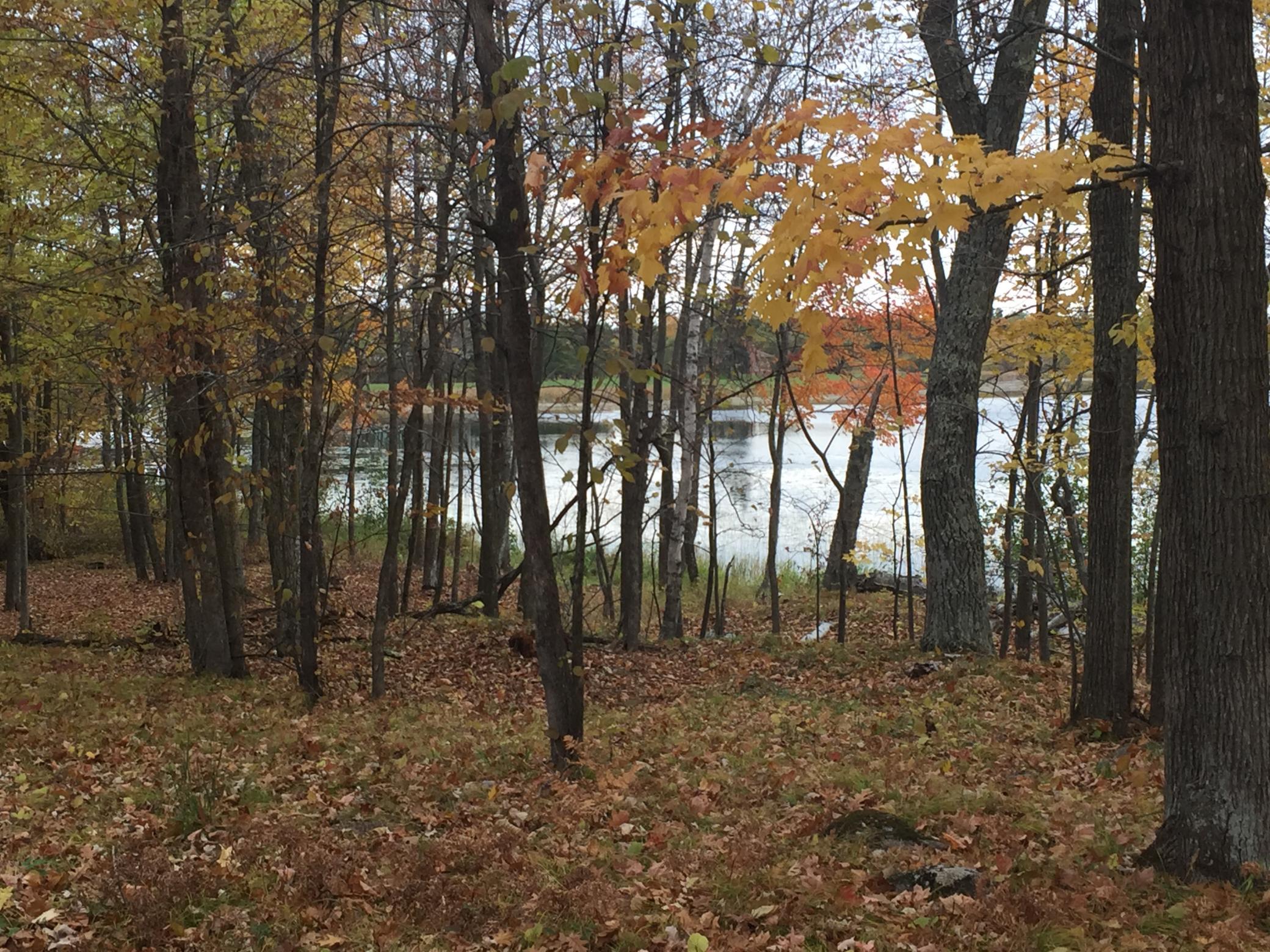 land for sale at Tract 1 Lower Larson Lake Road NW in Hackensack, MN (photo 4 of 25)