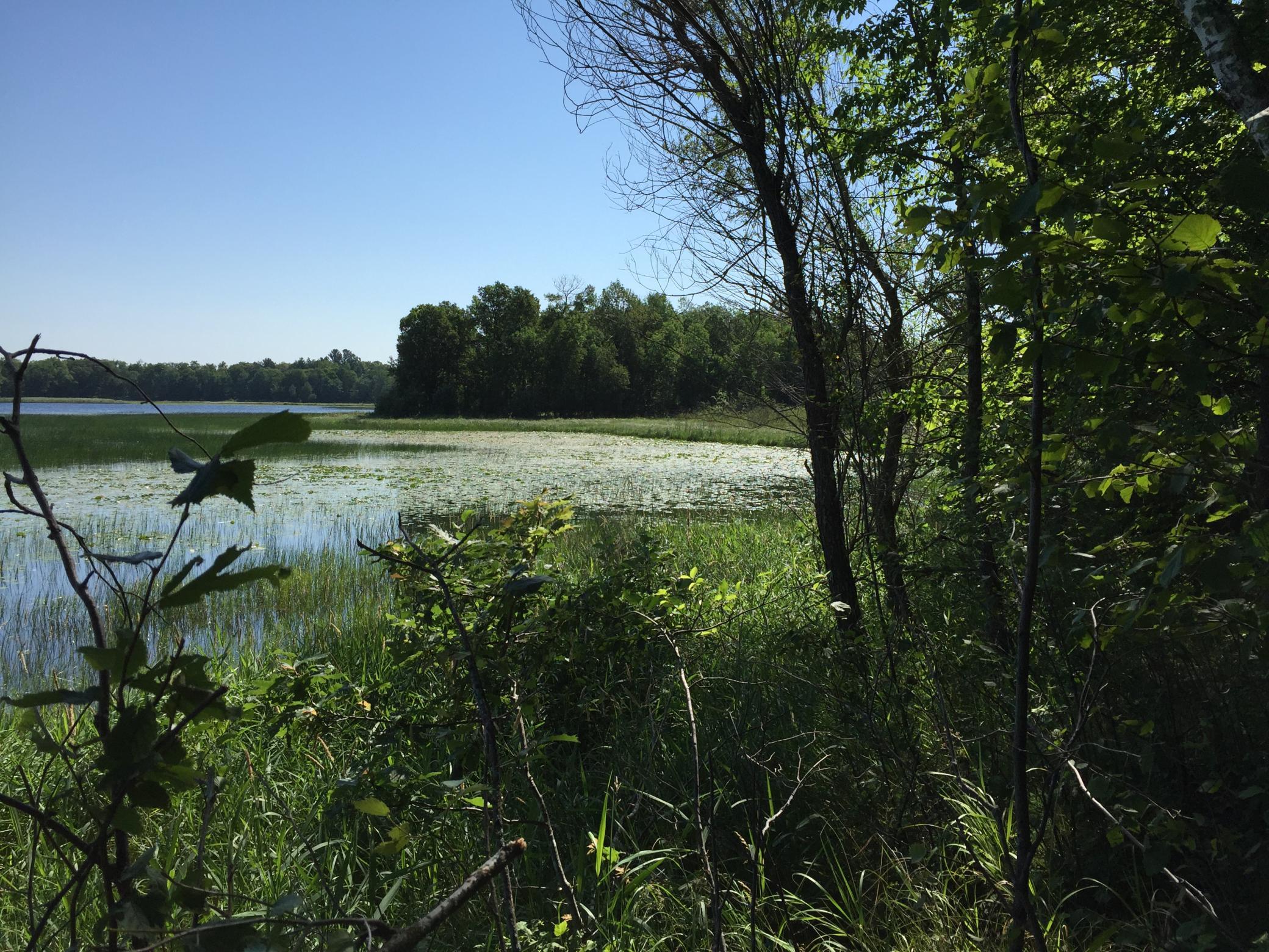 land for sale at Tract 1 Lower Larson Lake Road NW in Hackensack, MN (photo 6 of 25)