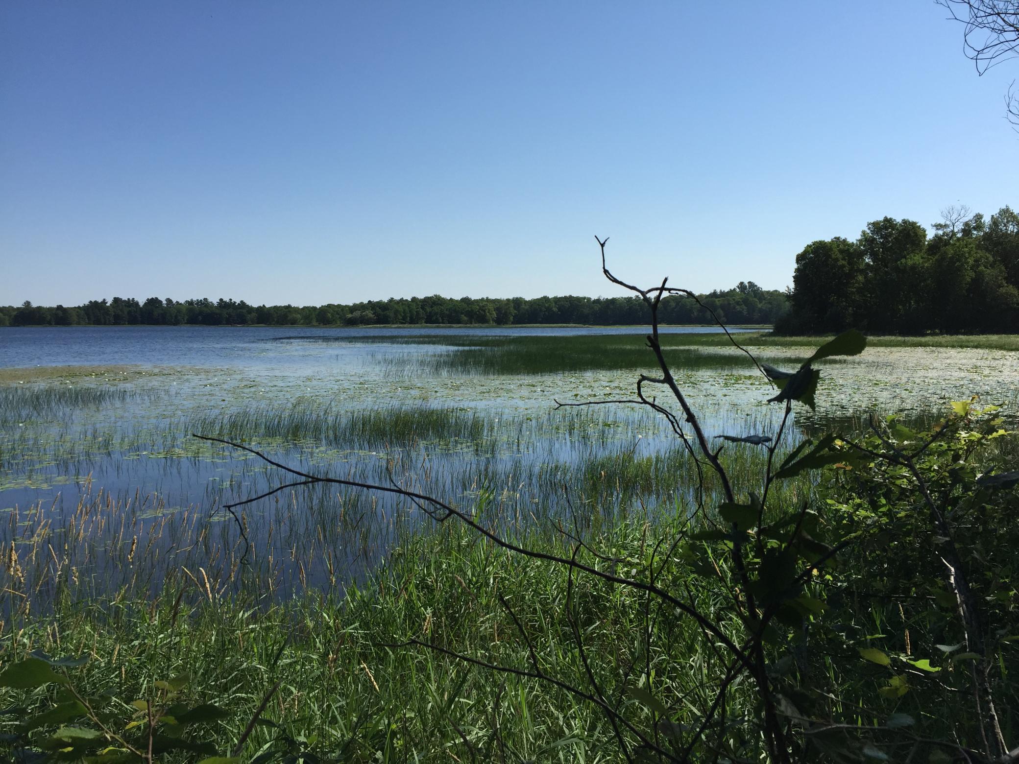 land for sale at Tract 1 Lower Larson Lake Road NW in Hackensack, MN (photo 7 of 25)