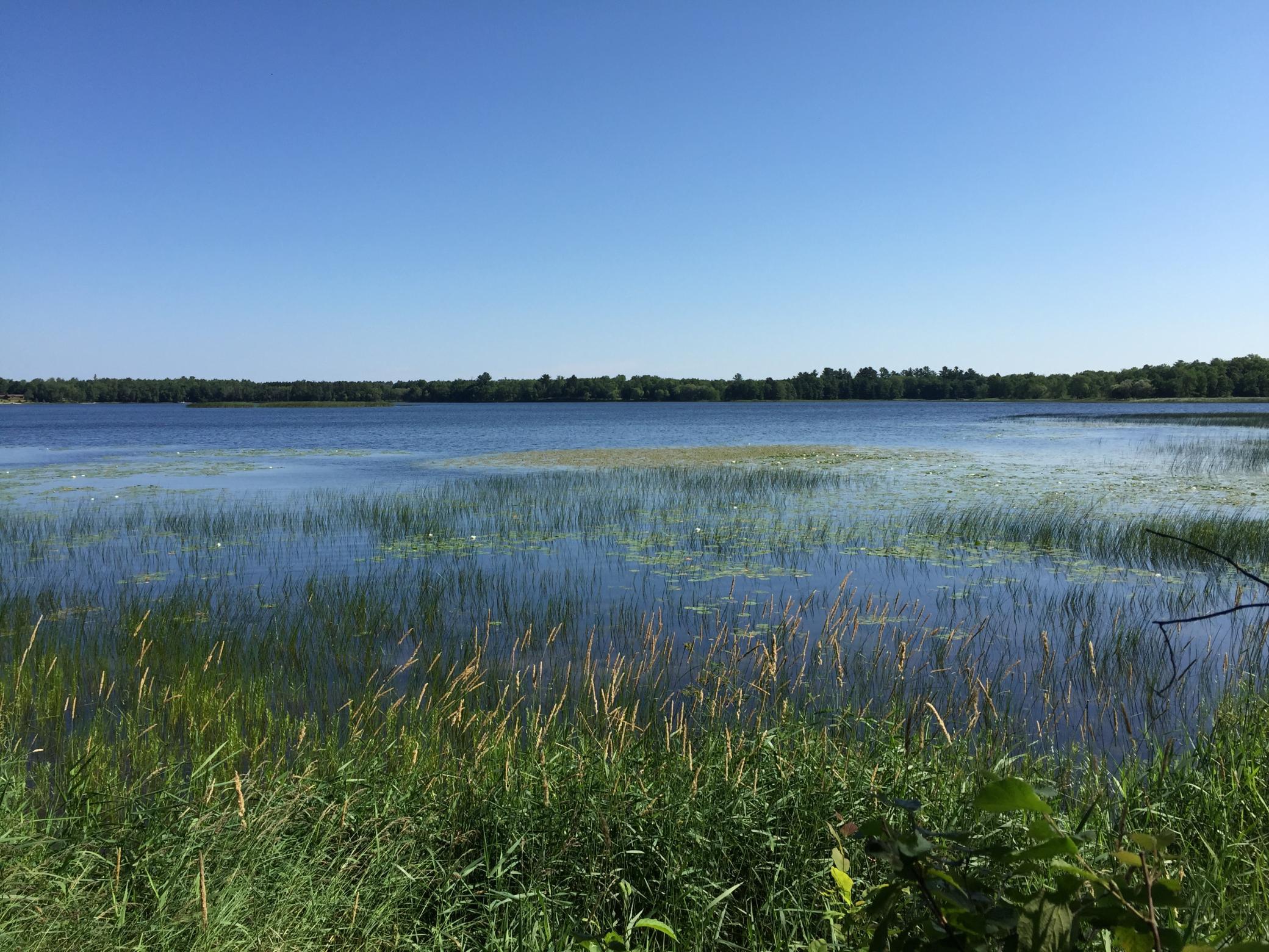 land for sale at Tract 1 Lower Larson Lake Road NW in Hackensack, MN (photo 8 of 25)