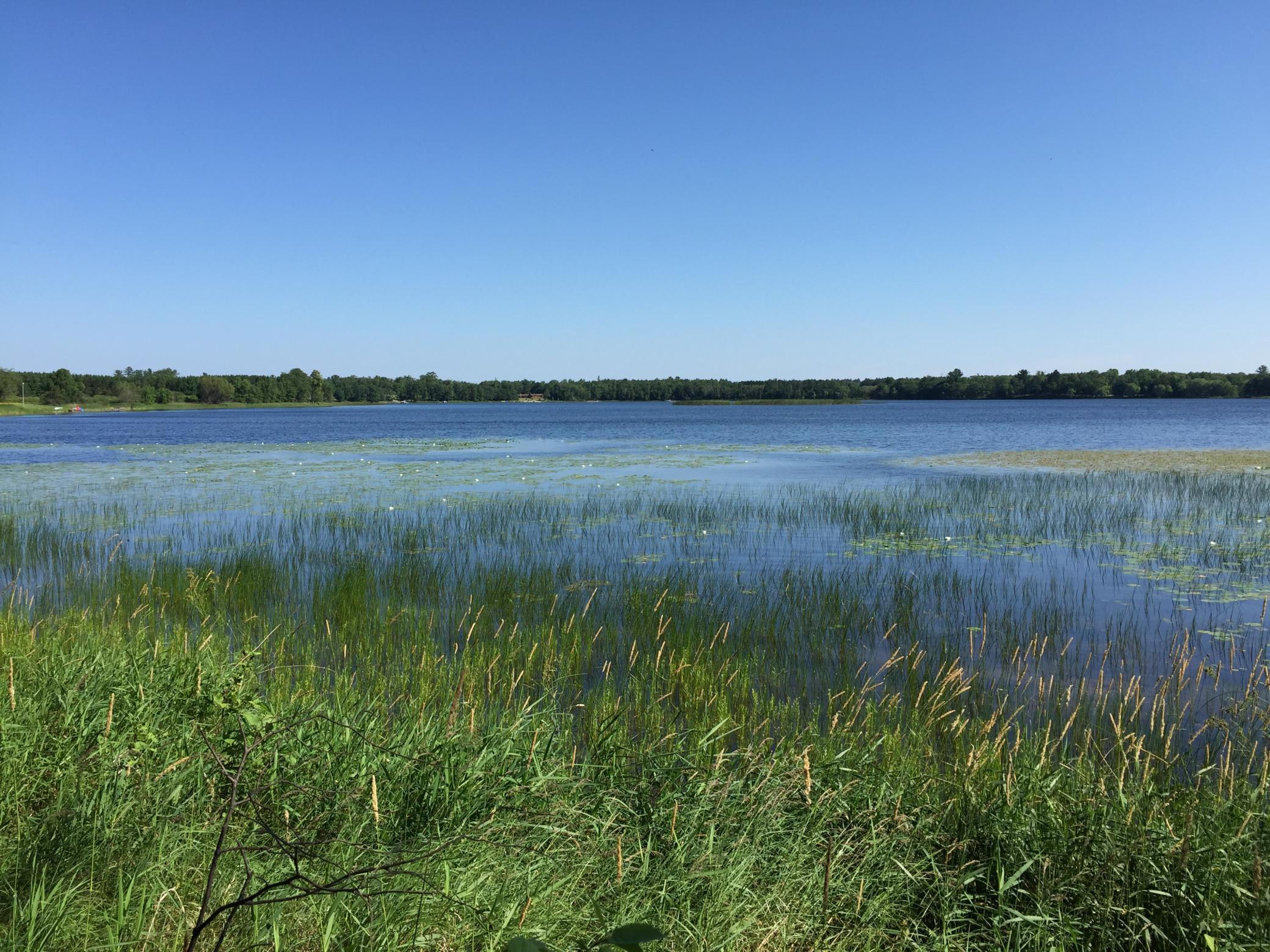 land for sale at Tract 1 Lower Larson Lake Road NW in Hackensack, MN (photo 9 of 25)