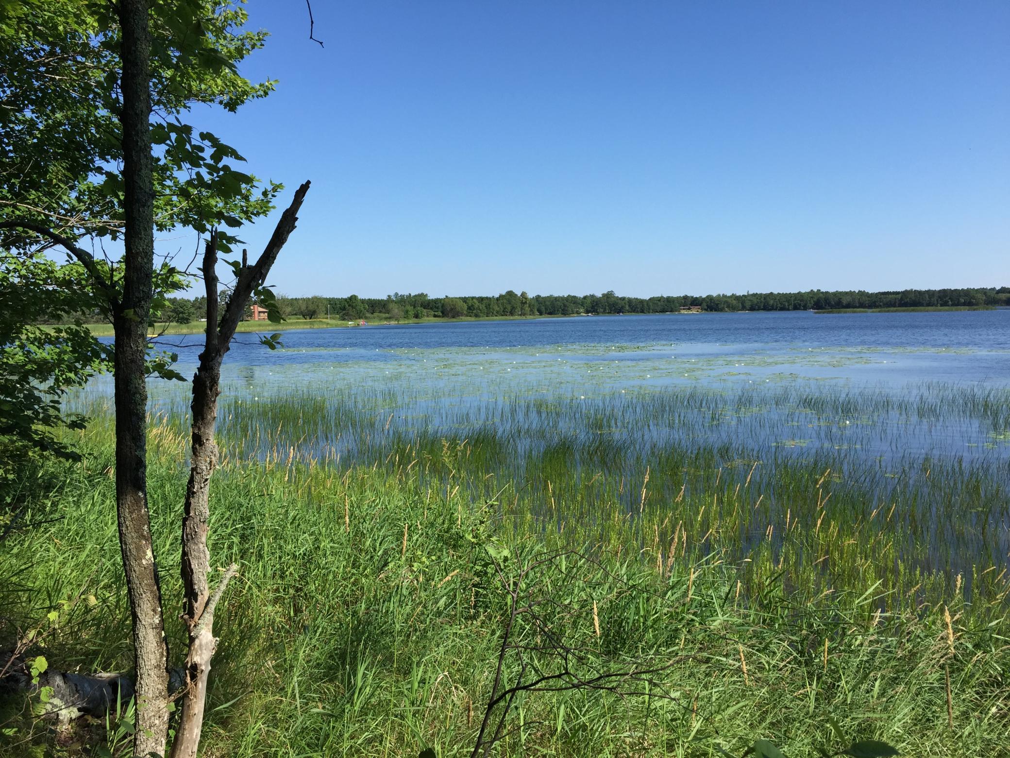 land for sale at Tract 1 Lower Larson Lake Road NW in Hackensack, MN (photo 10 of 25)