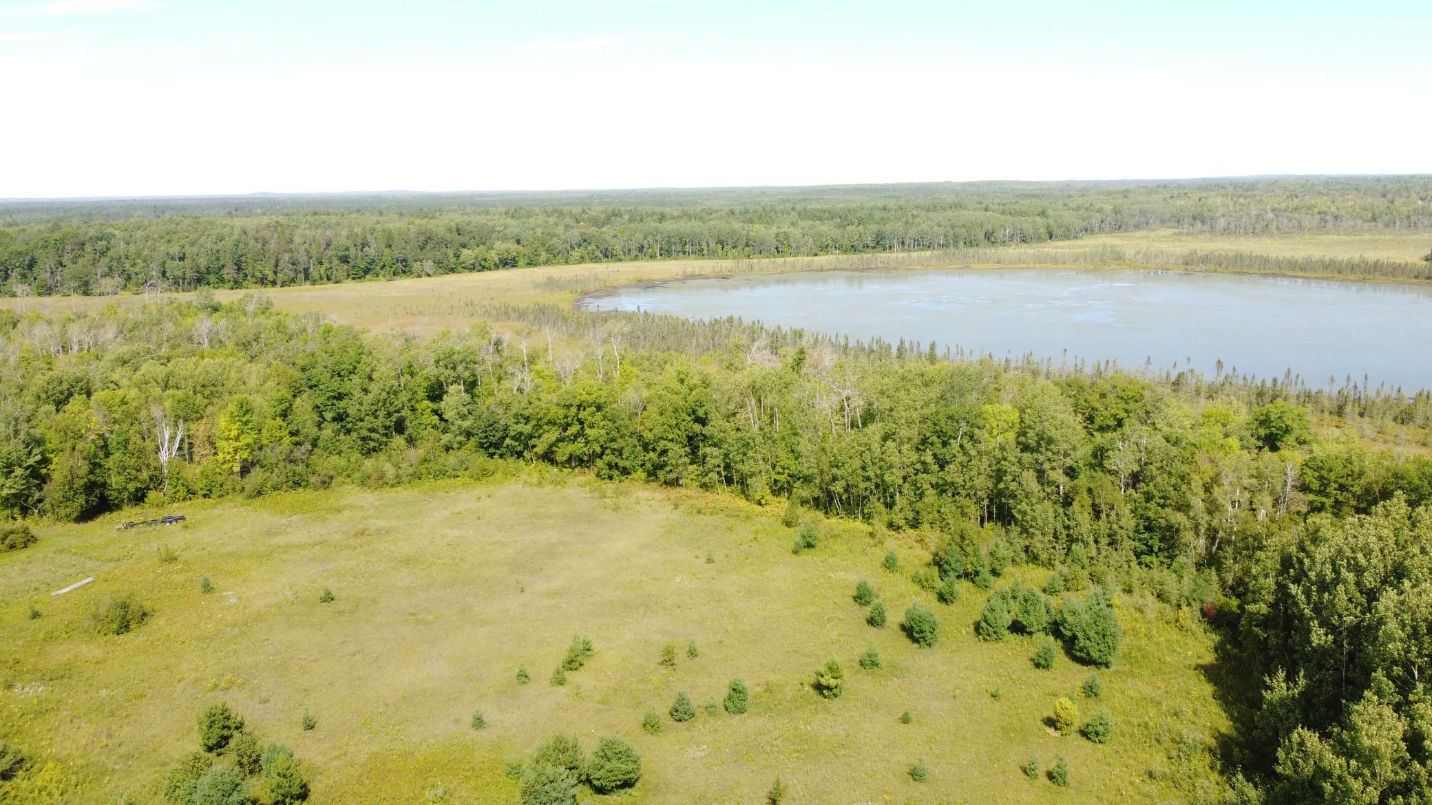 land for sale at TBD County Road 36 in Emily, MN (photo 4 of 19)