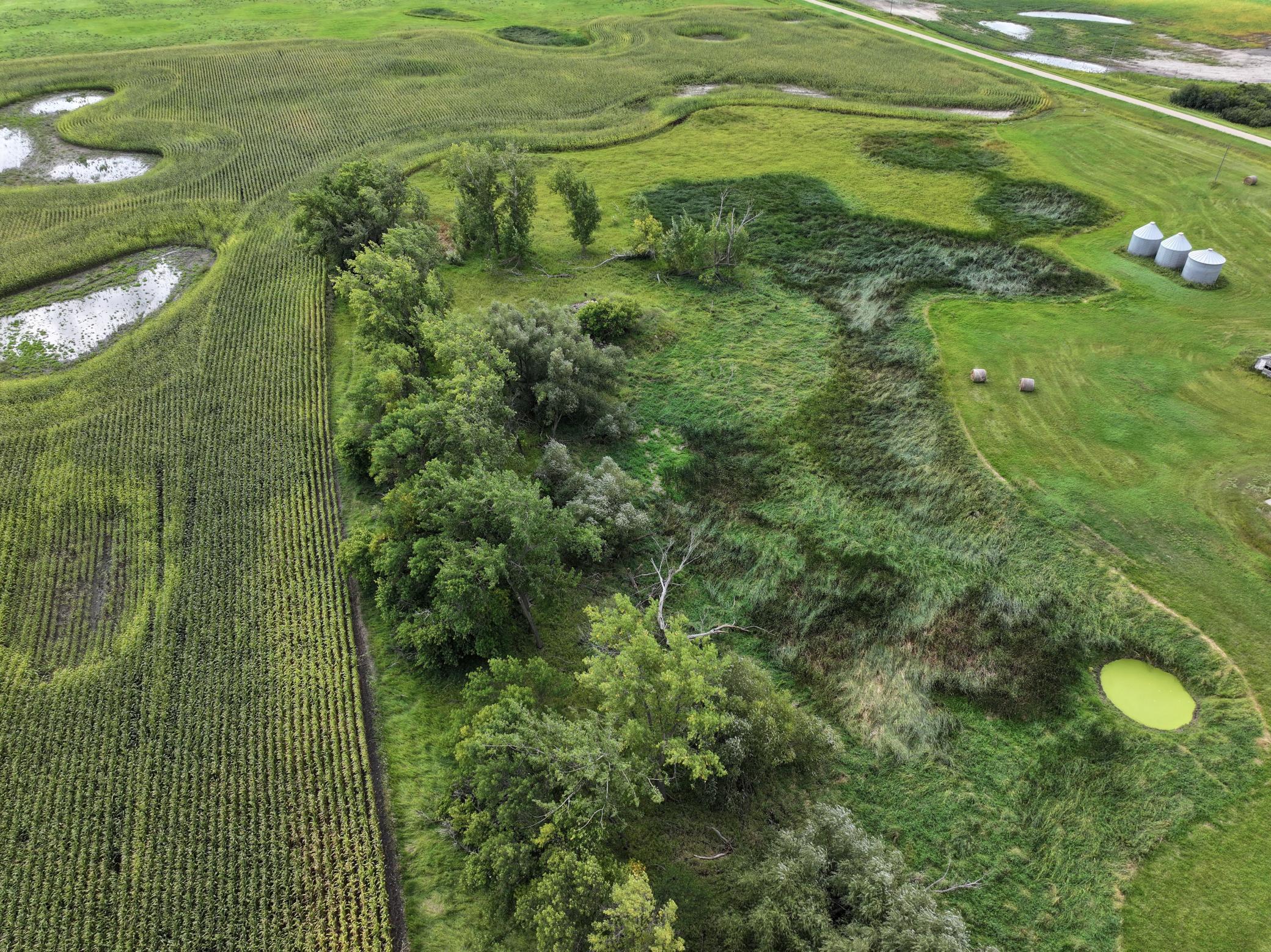 1999 land for sale at TBD 53rd ave ne in Wolford, ND (photo 9 of 32)