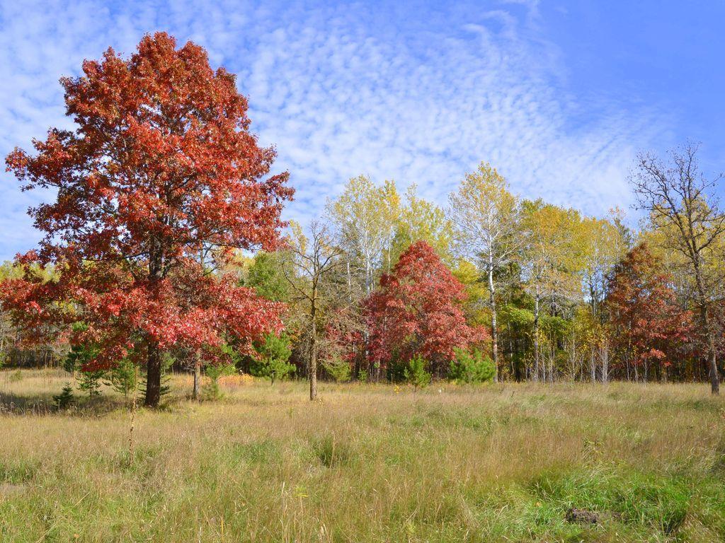 land for sale at XXX Grant Street in Park Rapids, MN