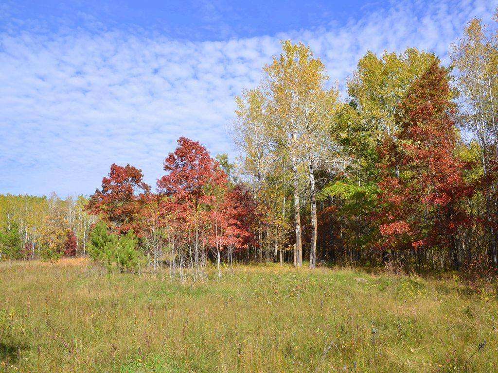 land for sale at XXX Grant Street in Park Rapids, MN (photo 2 of 33)