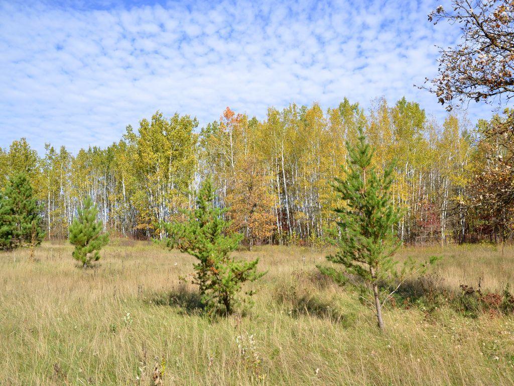 land for sale at XXX Grant Street in Park Rapids, MN (photo 11 of 33)