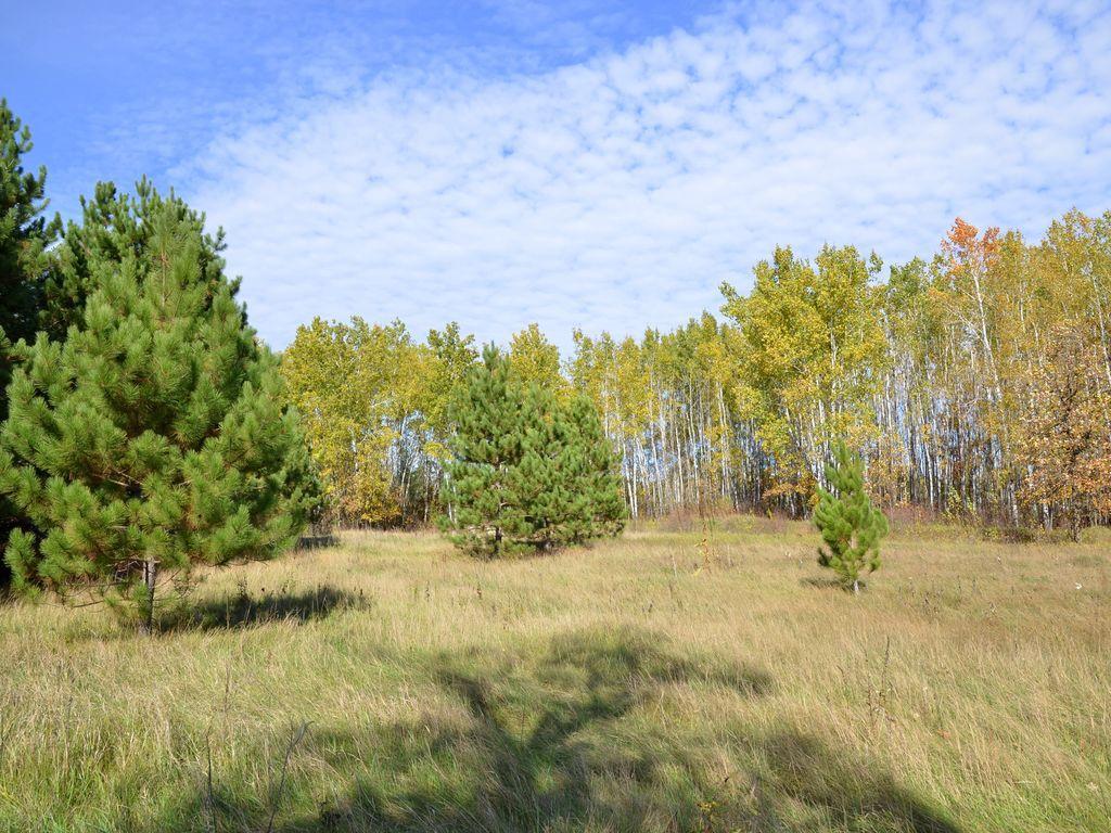 land for sale at XXX Grant Street in Park Rapids, MN (photo 12 of 33)