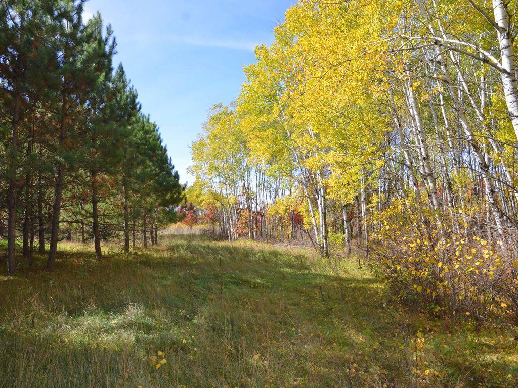 land for sale at XXX Grant Street in Park Rapids, MN (photo 15 of 33)