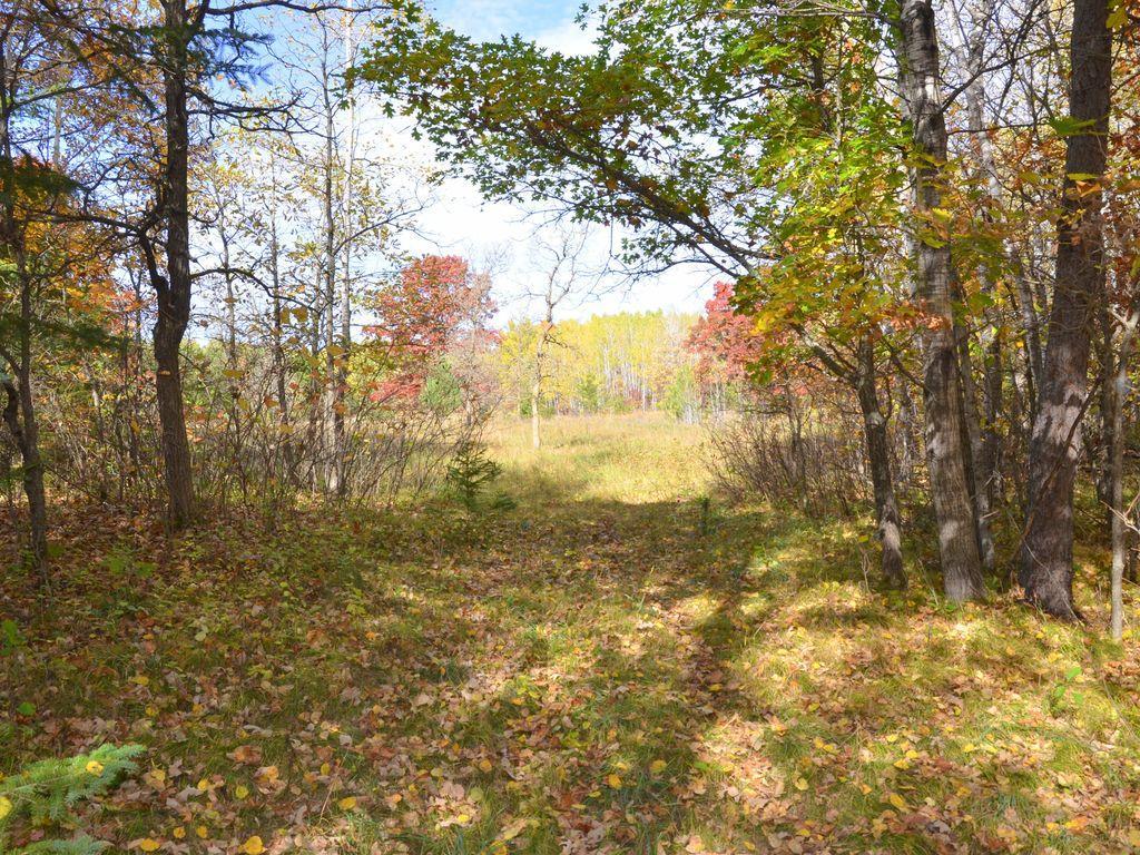 land for sale at XXX Grant Street in Park Rapids, MN (photo 16 of 33)