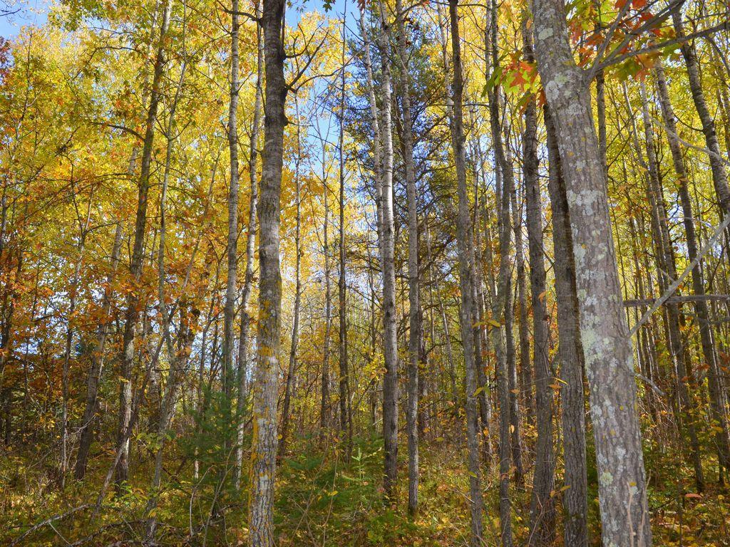 land for sale at XXX Grant Street in Park Rapids, MN (photo 18 of 33)