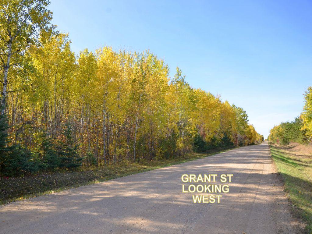 land for sale at XXX Grant Street in Park Rapids, MN (photo 19 of 33)